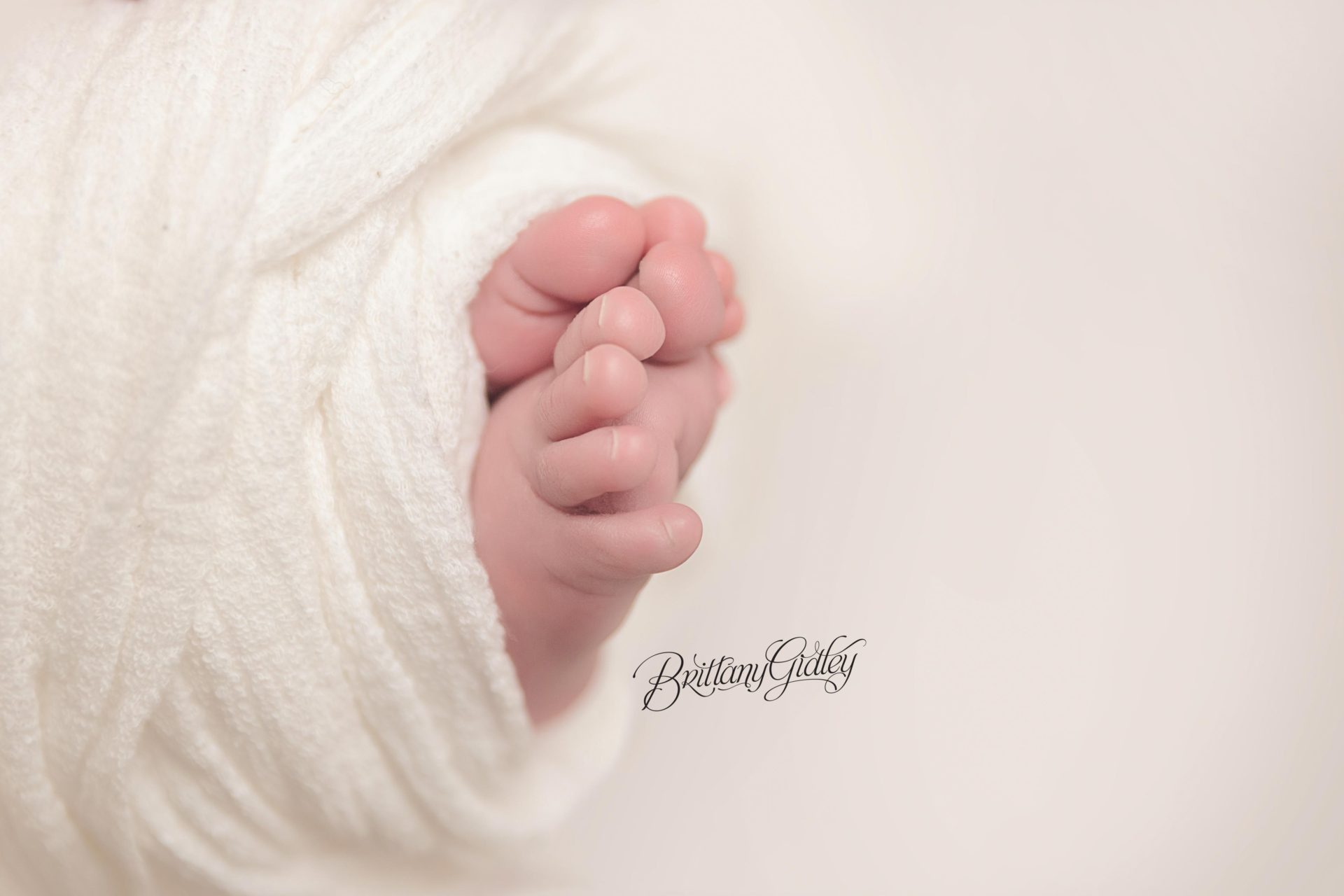 Cleveland's Best Newborn Photographer  | Brittany Gidley Photography | www.brittanygidleyphotography.com