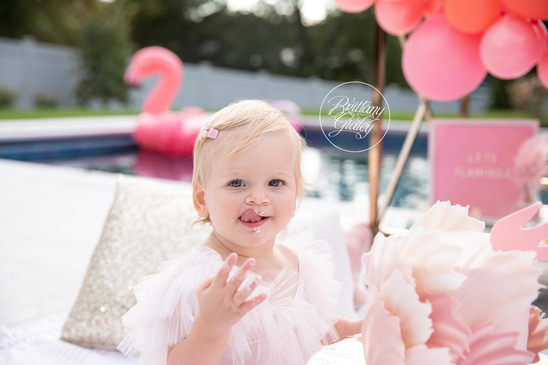Flamingo Baby Photo Shoot | Flamingle Dream Session | New York Giants Baby