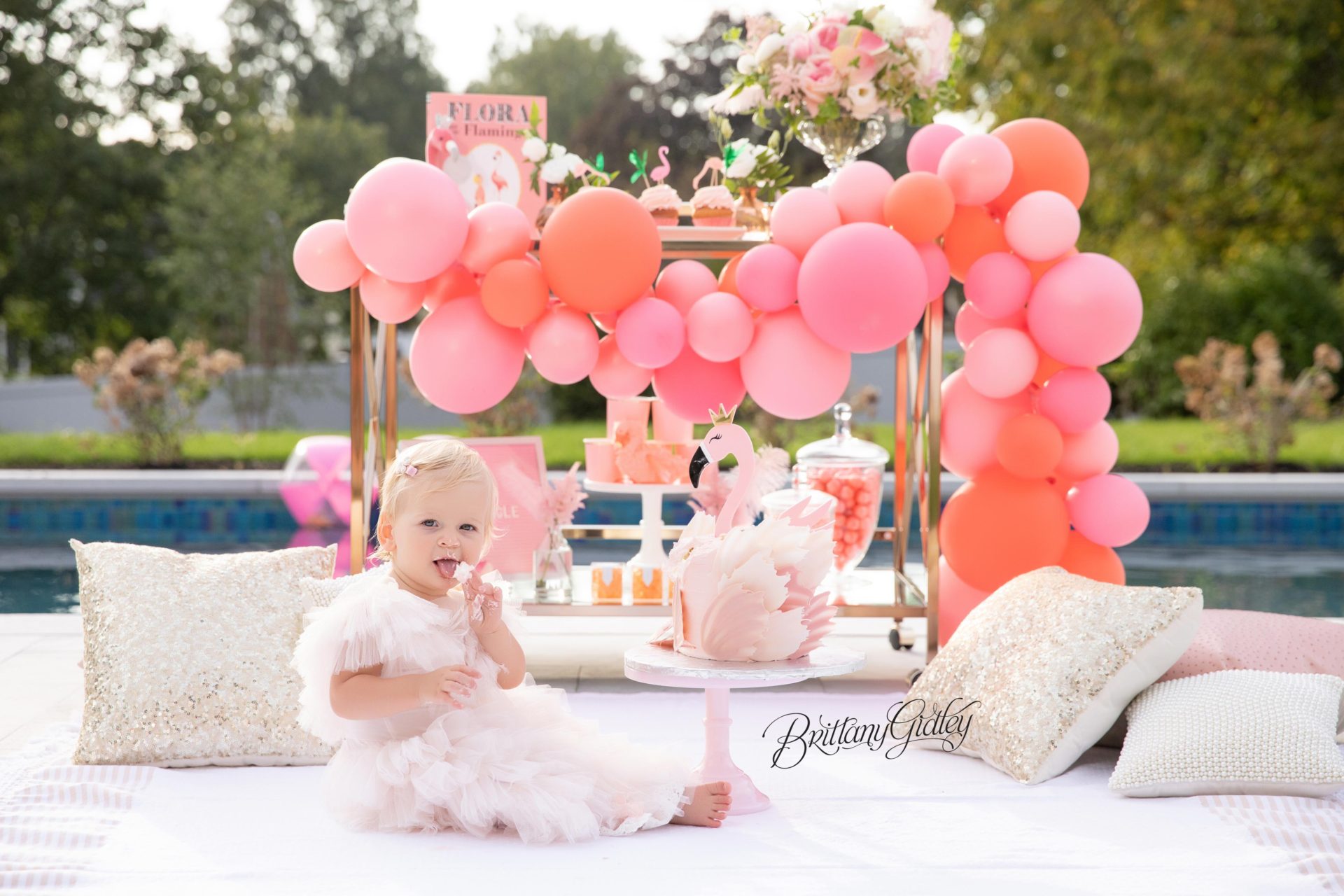 Flamingo Cake Smash | First Flamingle Birthday Party