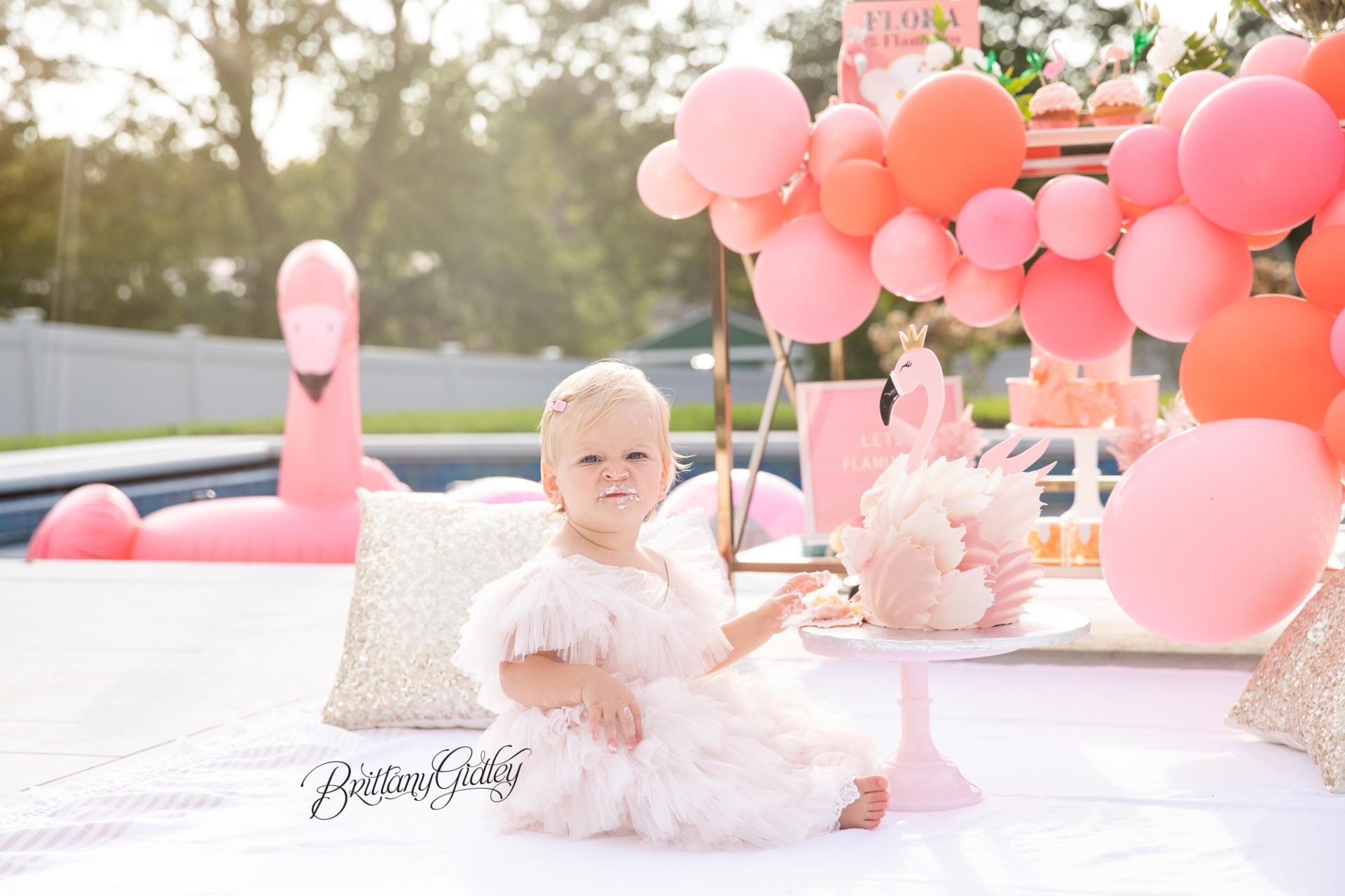 Flamingo Cake Smash | First Flamingle Birthday Party