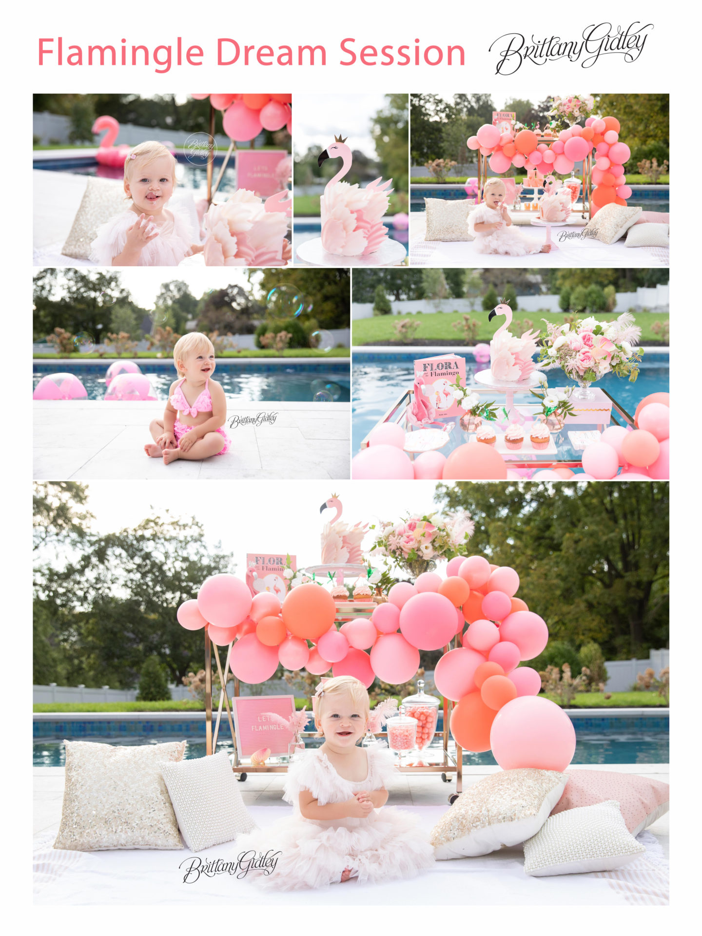 Flamingo Baby Photo Shoot | Flamingle Dream Session | New York Giants