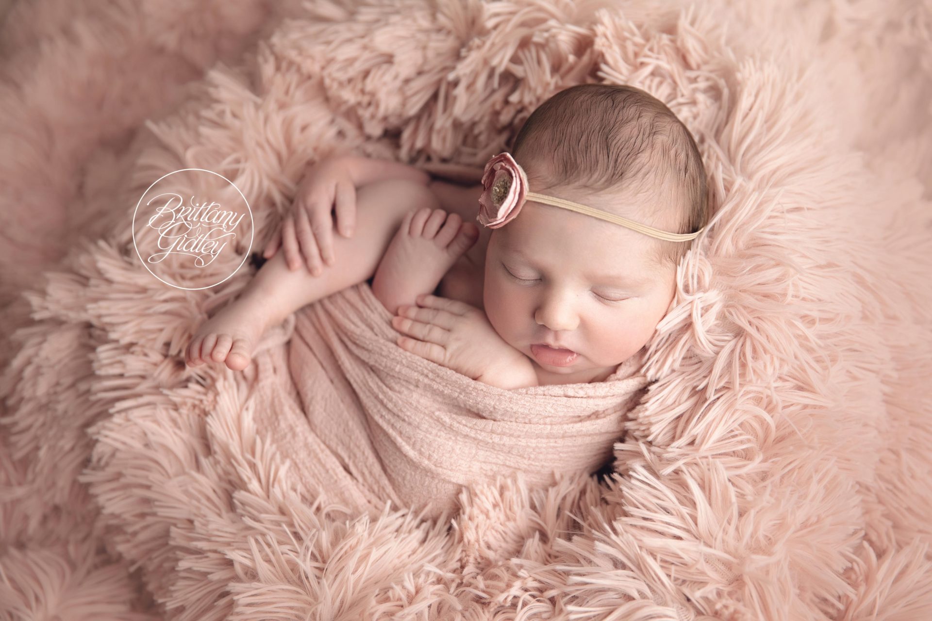 Newborn Studio Photography for Babies and Newborns | Cleveland Ohio and Los Angeles California Newborn Photography