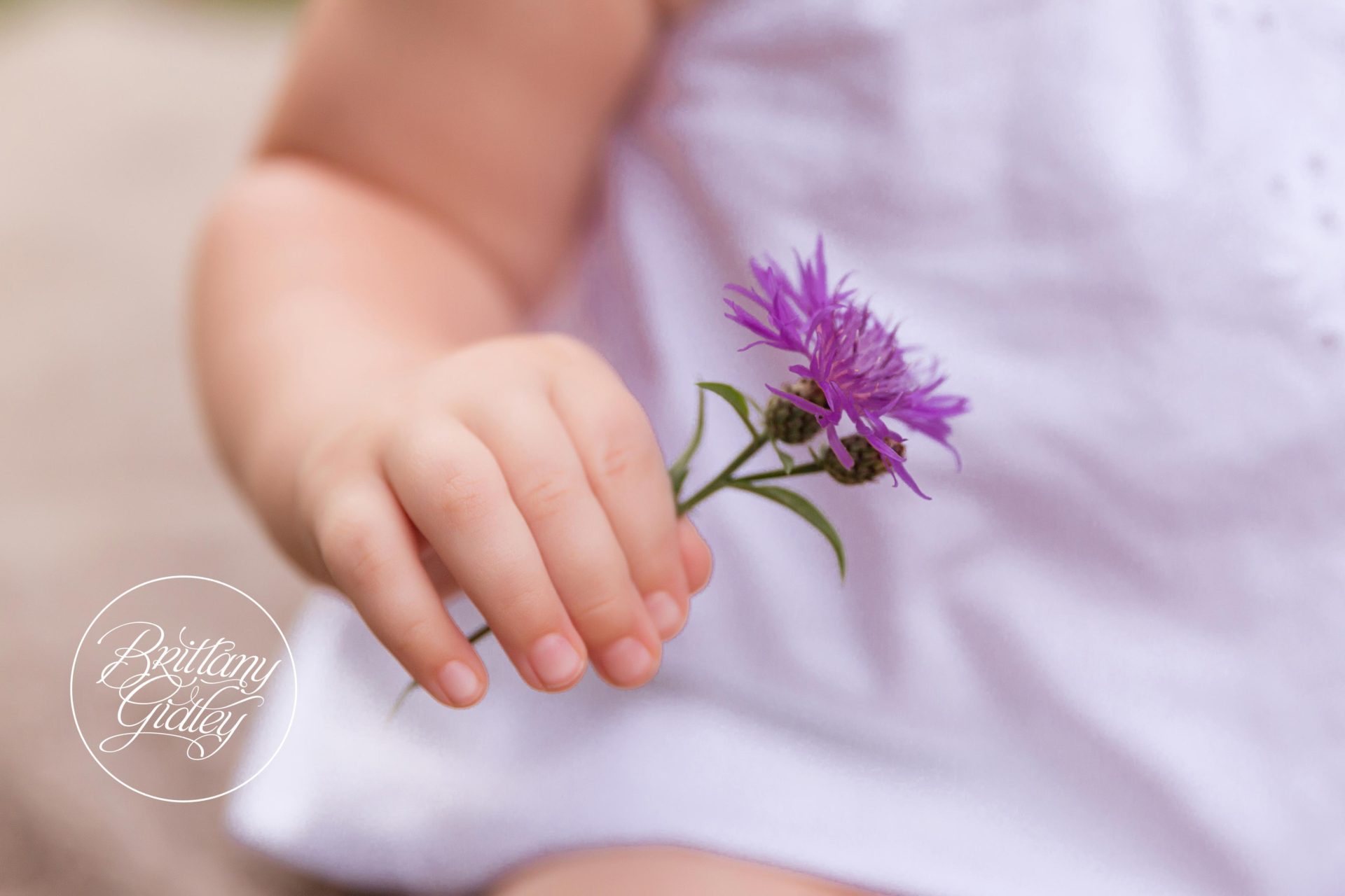 12 Month Baby Fall Photo Shoot in Cleveland Ohio
