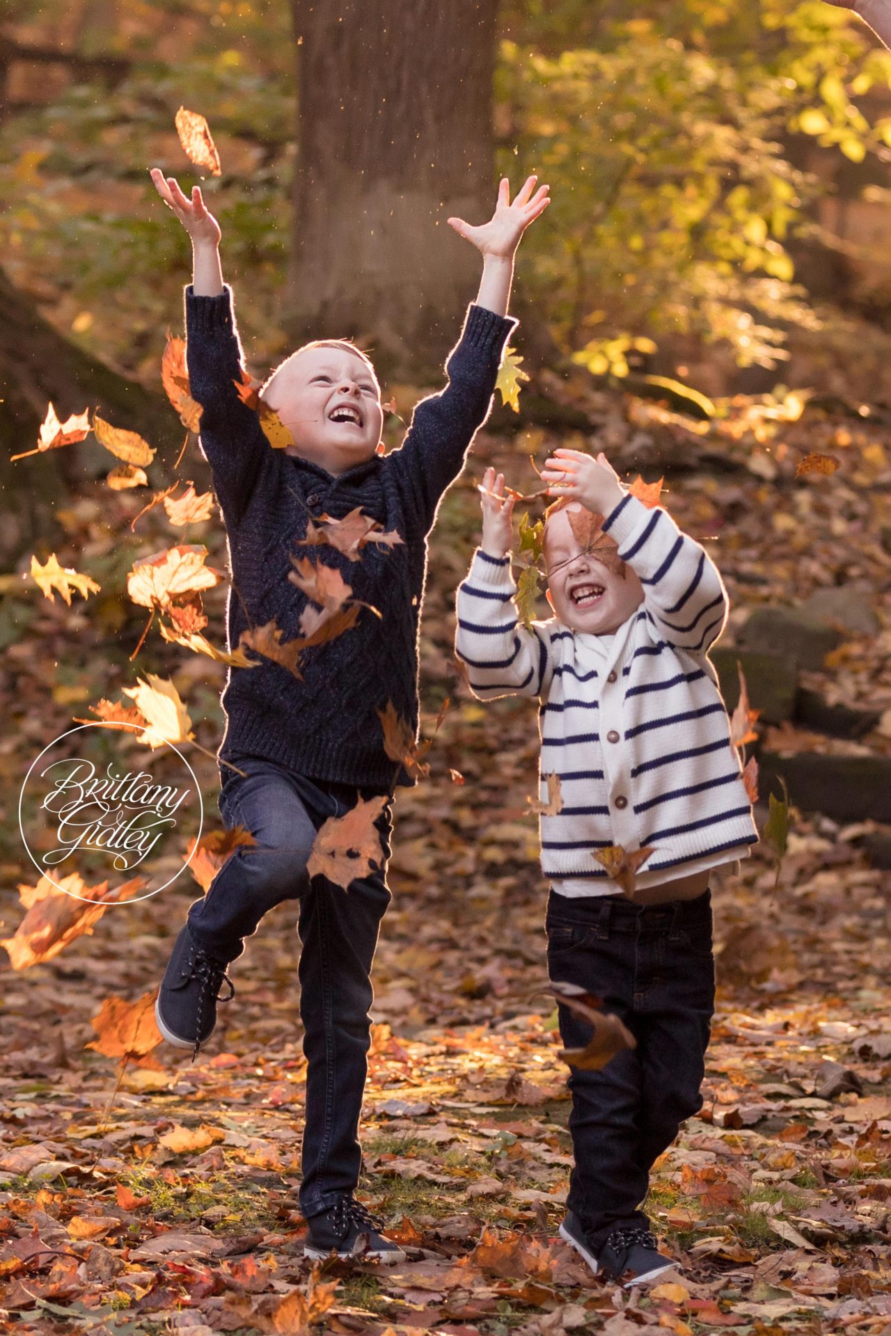 Fall Foliage Photography in Cleveland Ohio