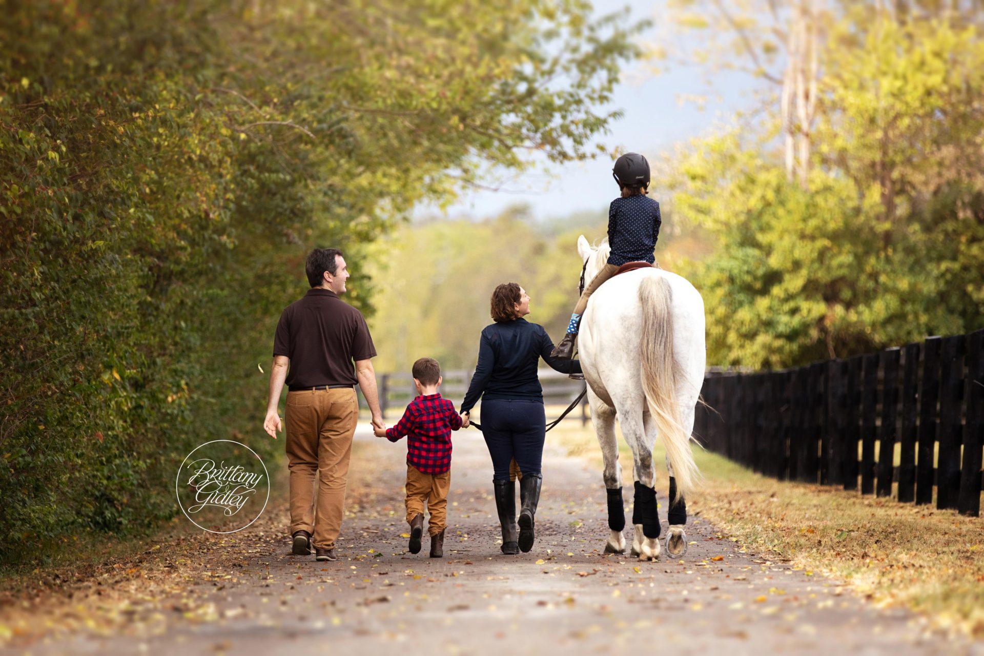 Horse Photographer Lexington Kentucky