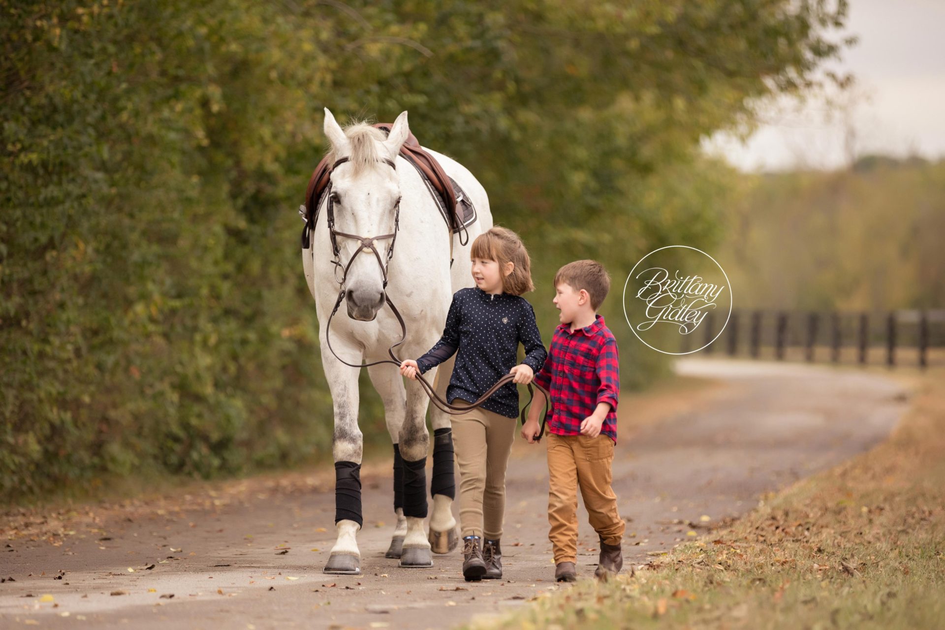 Child Horse Photography