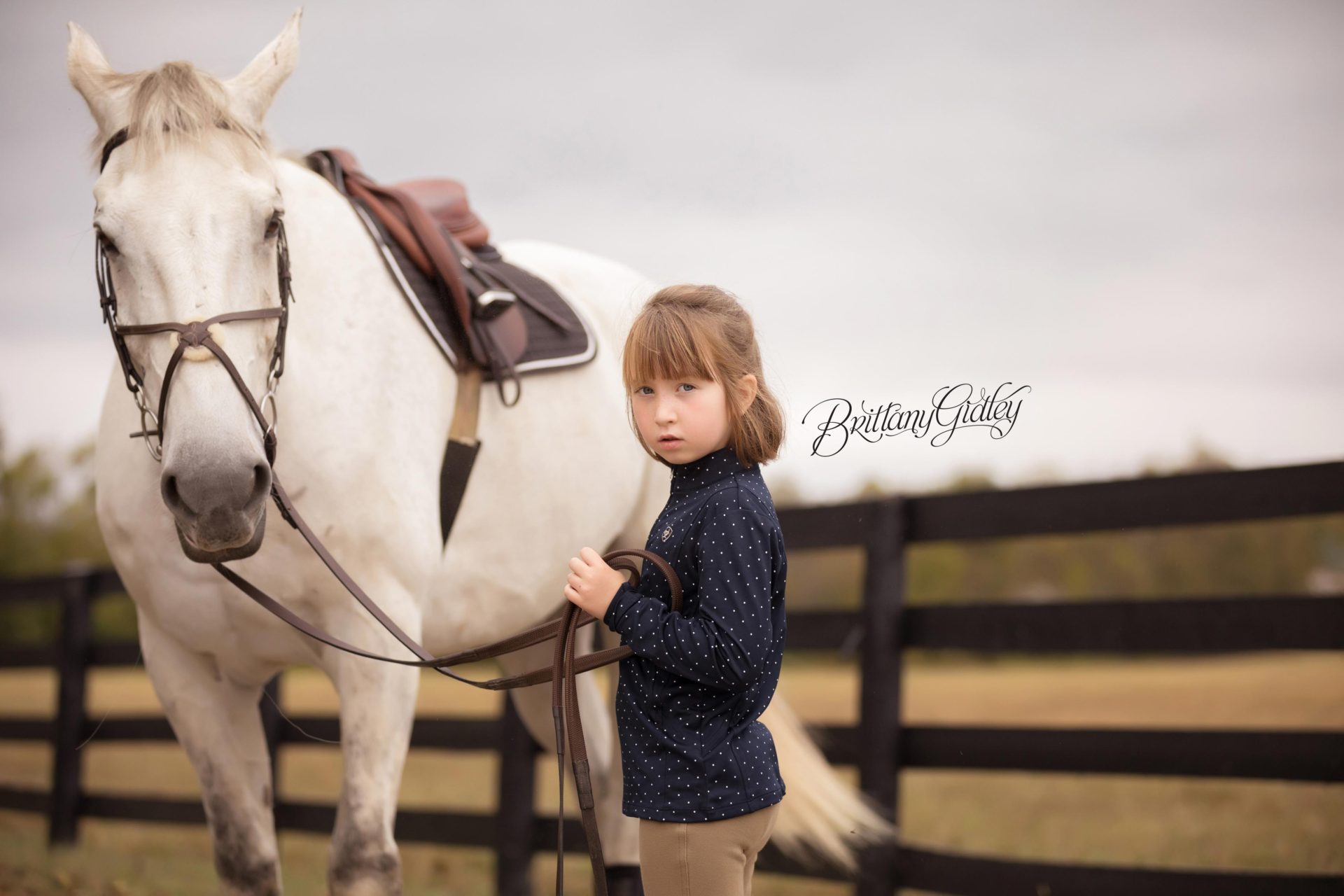 Lexington Family Photographer | The Broadbent Family