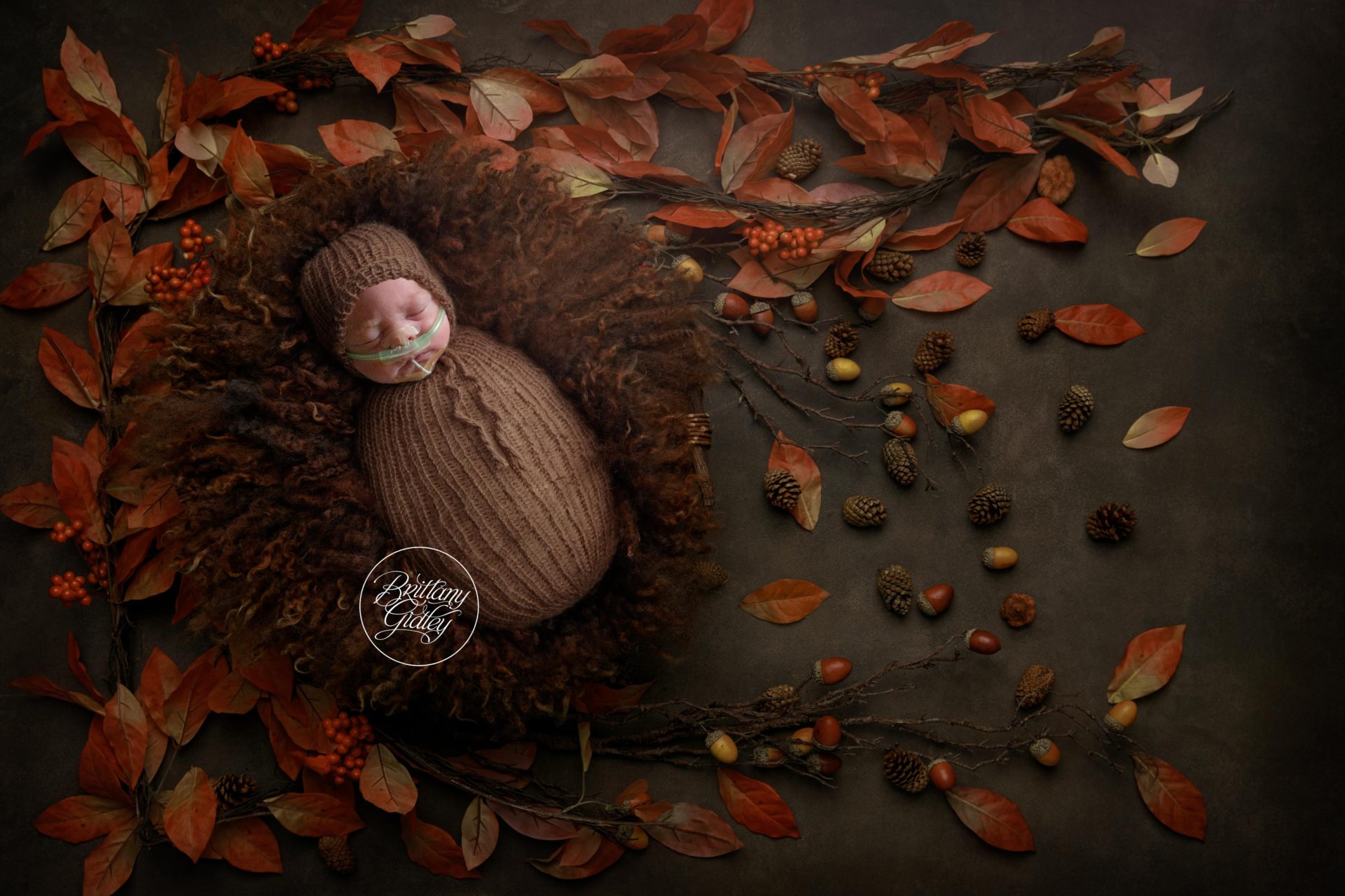 Neonatal Intensive Care Unit Photographer | Introducing Ryder
