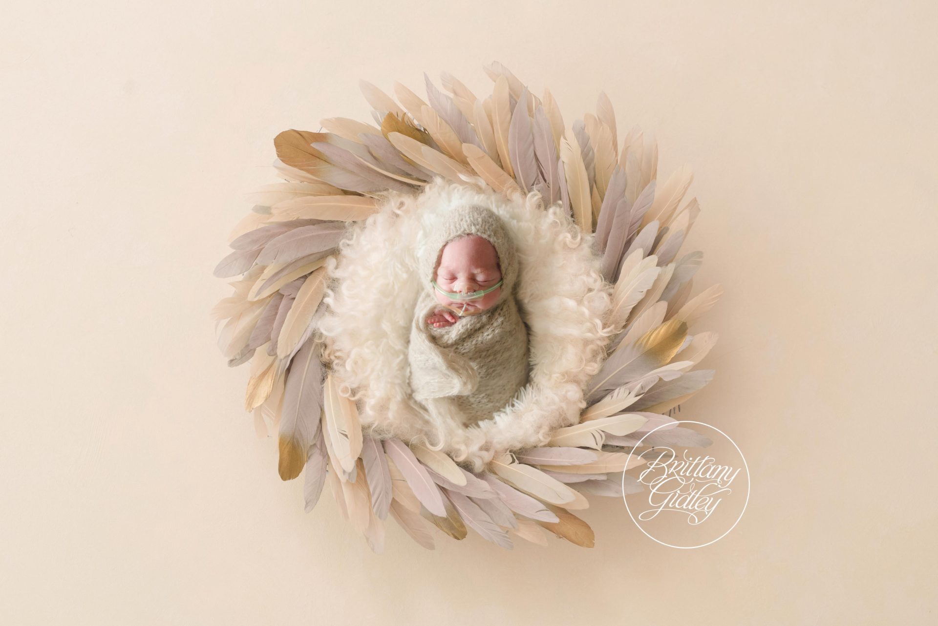 Photographer for Premature Babies | Preemie Photography by Brittany Gidley
