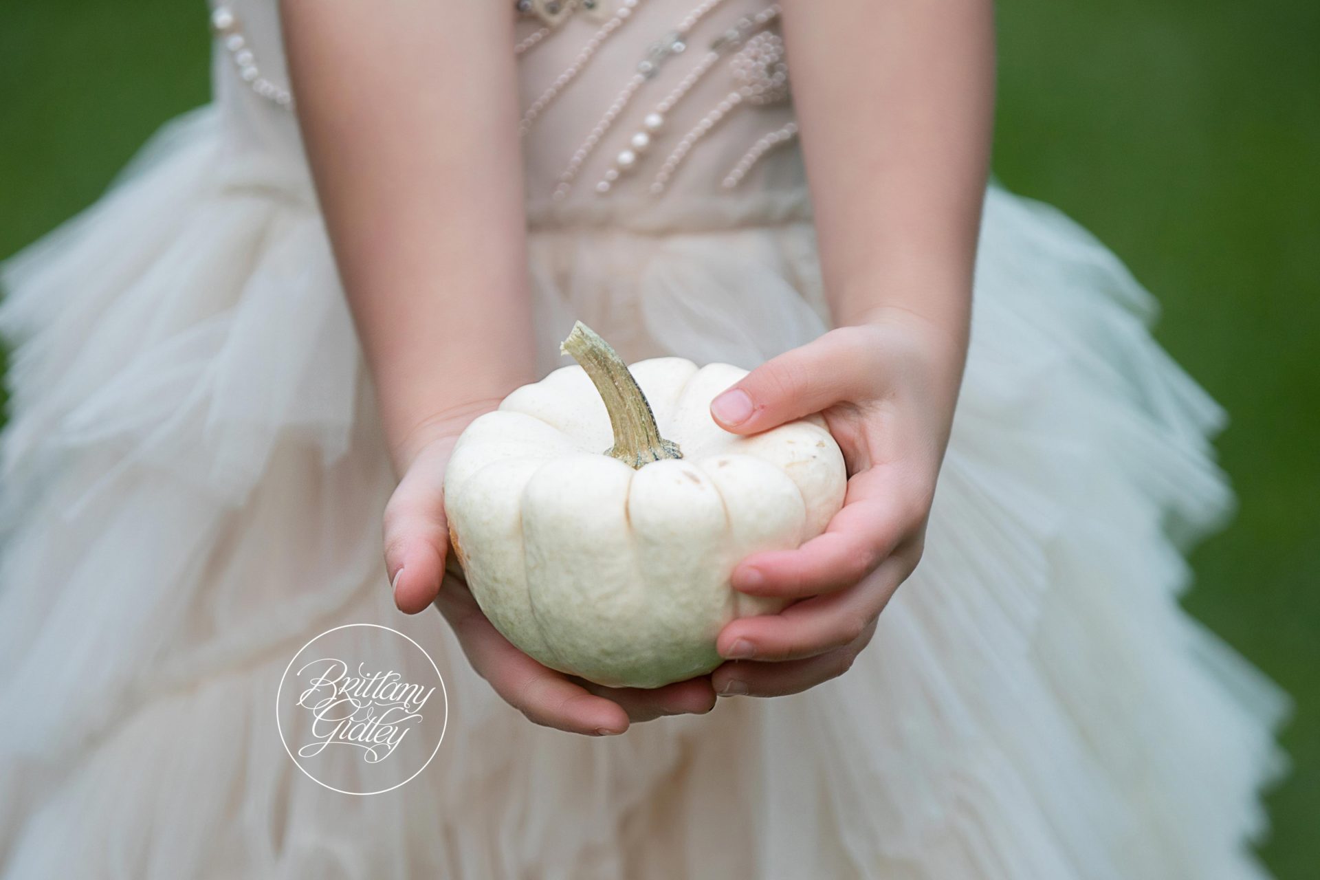 Fall Themed Picnic Family Photo Shoot