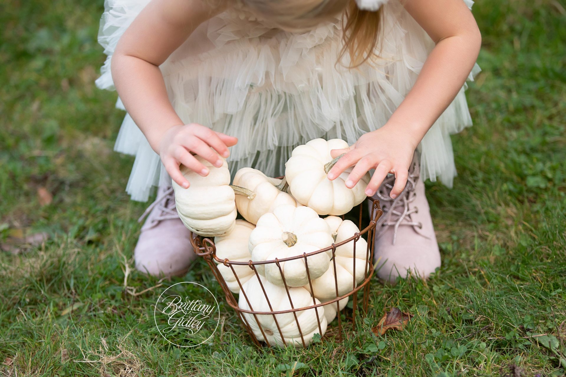 Pumpkin Photo Ideas