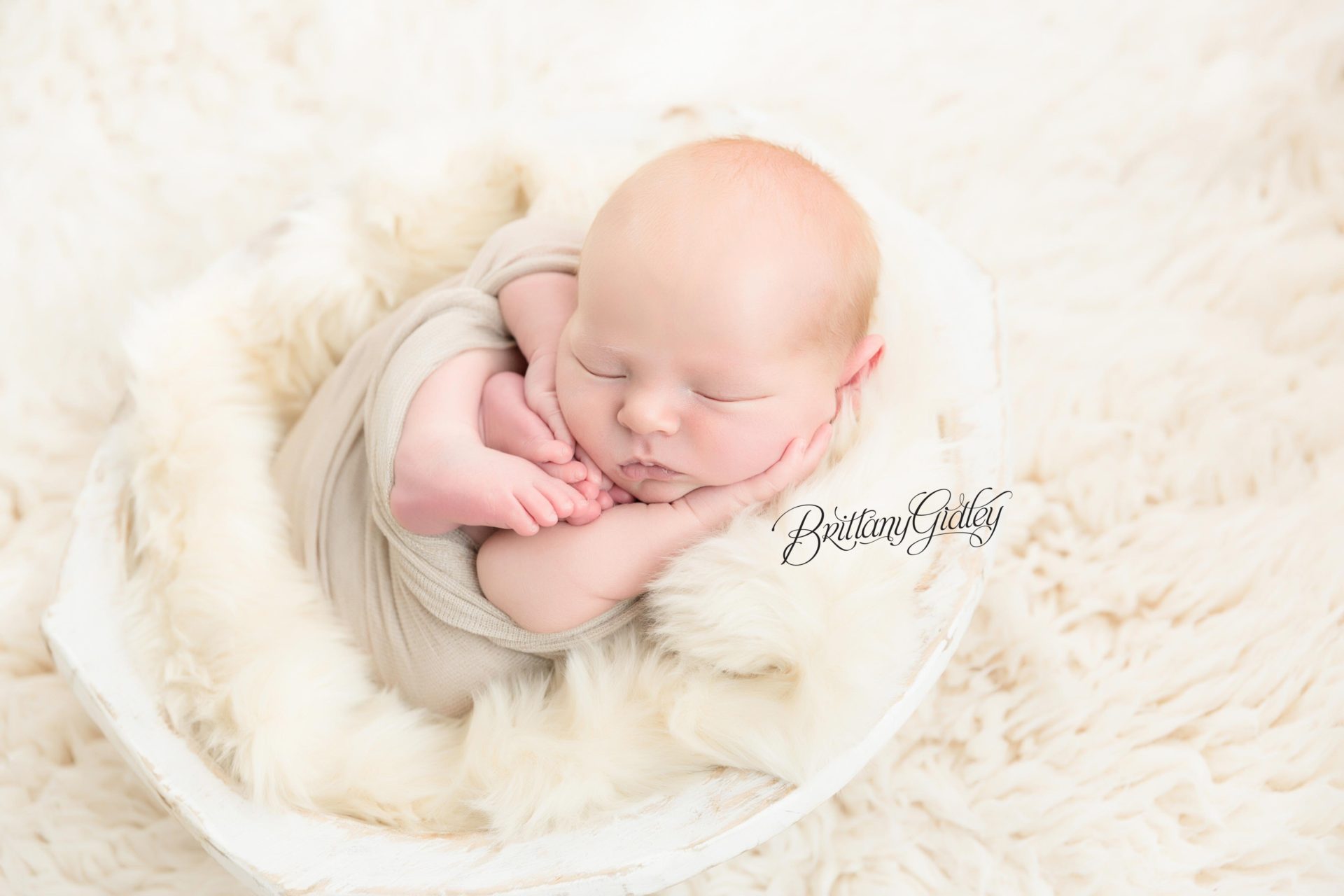 Tremont Newborn Photographer | Introducing Cooper