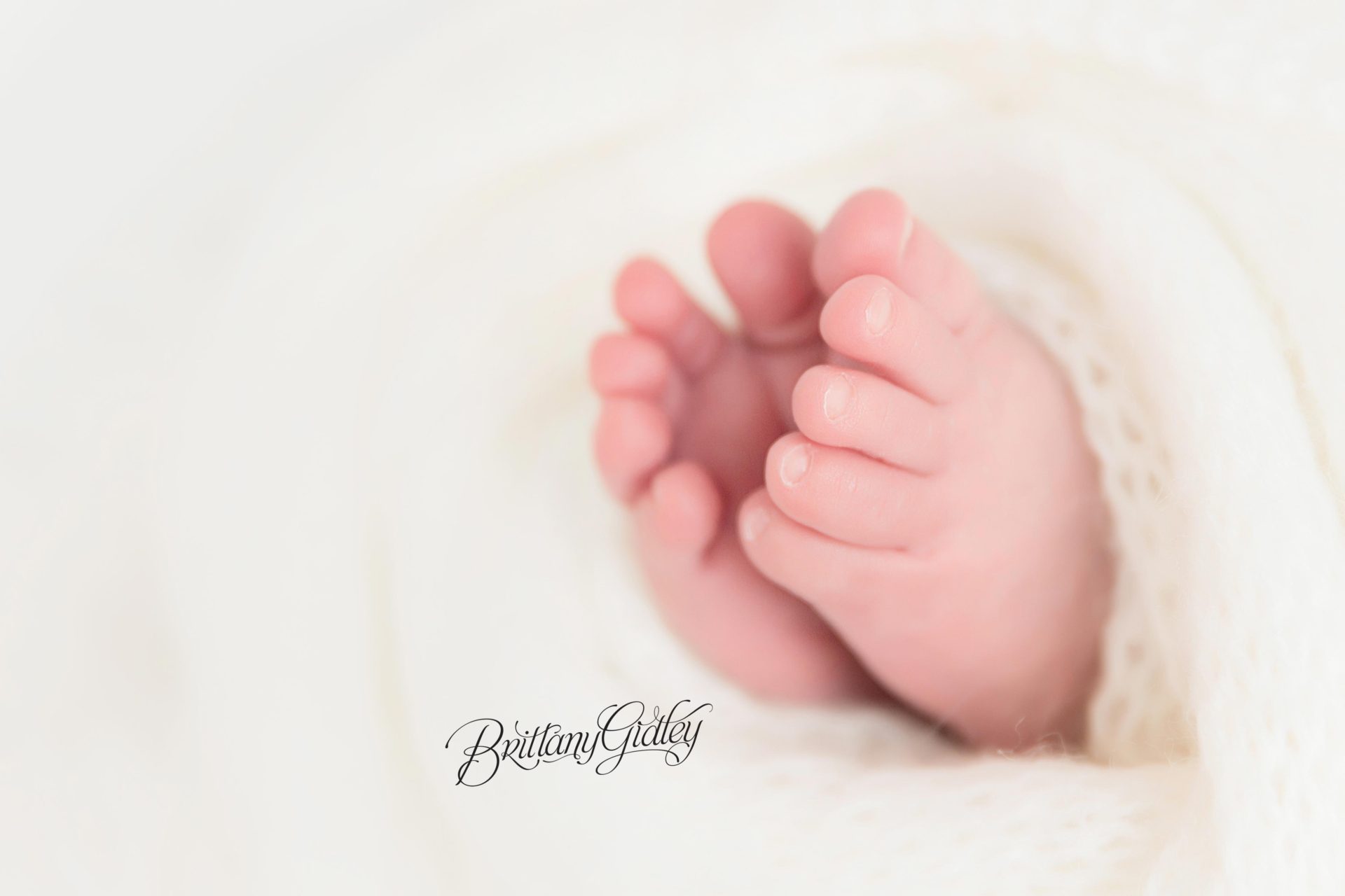 Newborn Photography Details