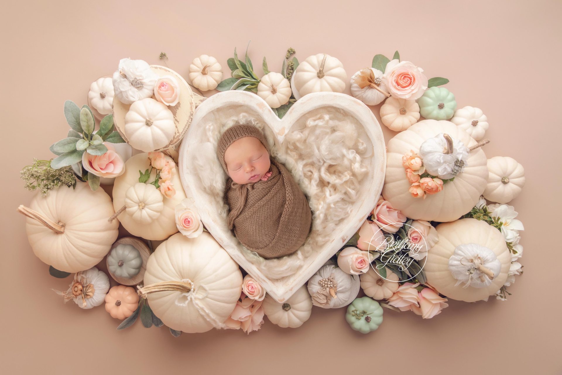 Fall Newborn Photo Shoot Ideas | Newborn Baby Pumpkins