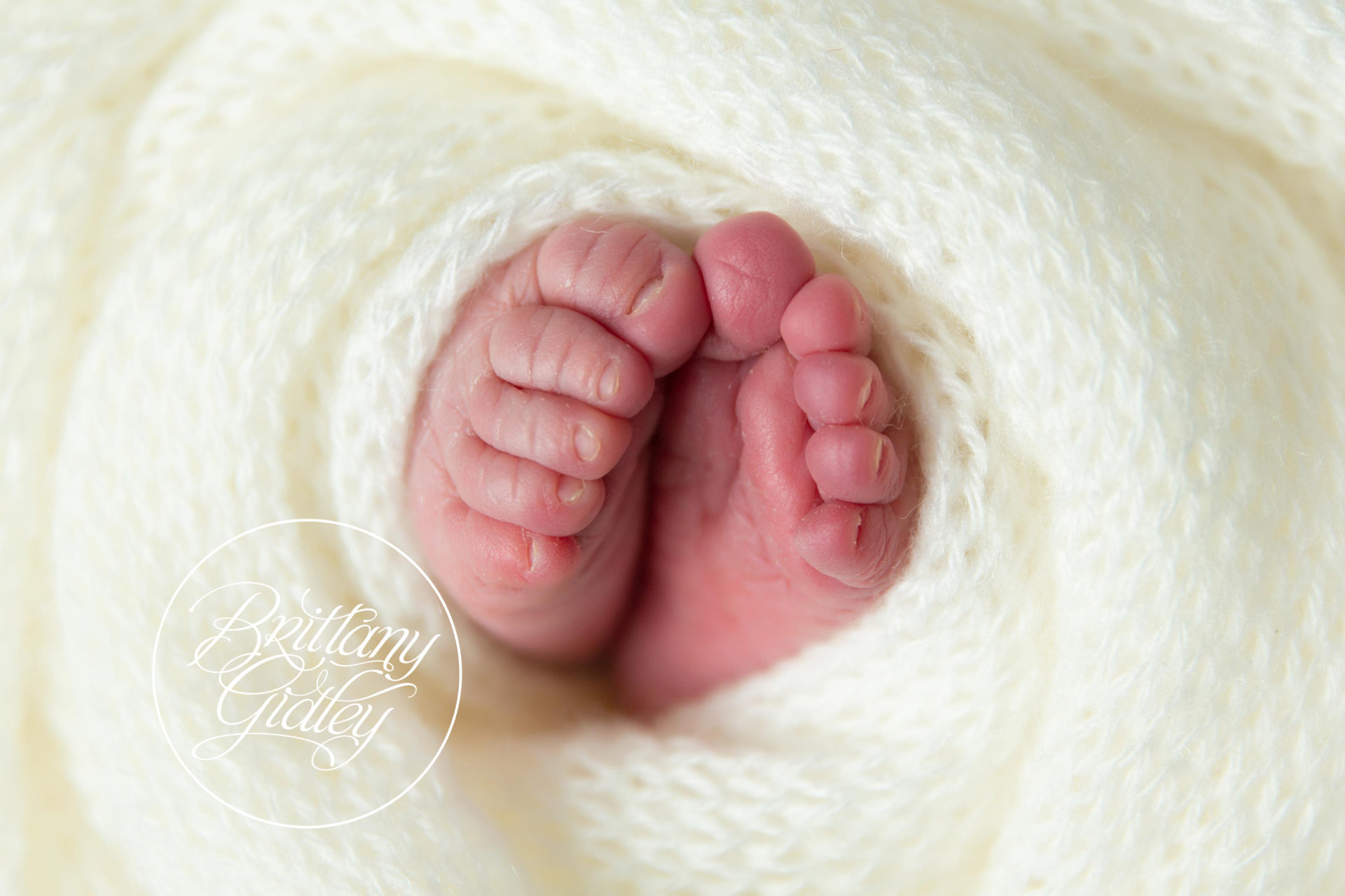 Newborn Photography Canton Ohio