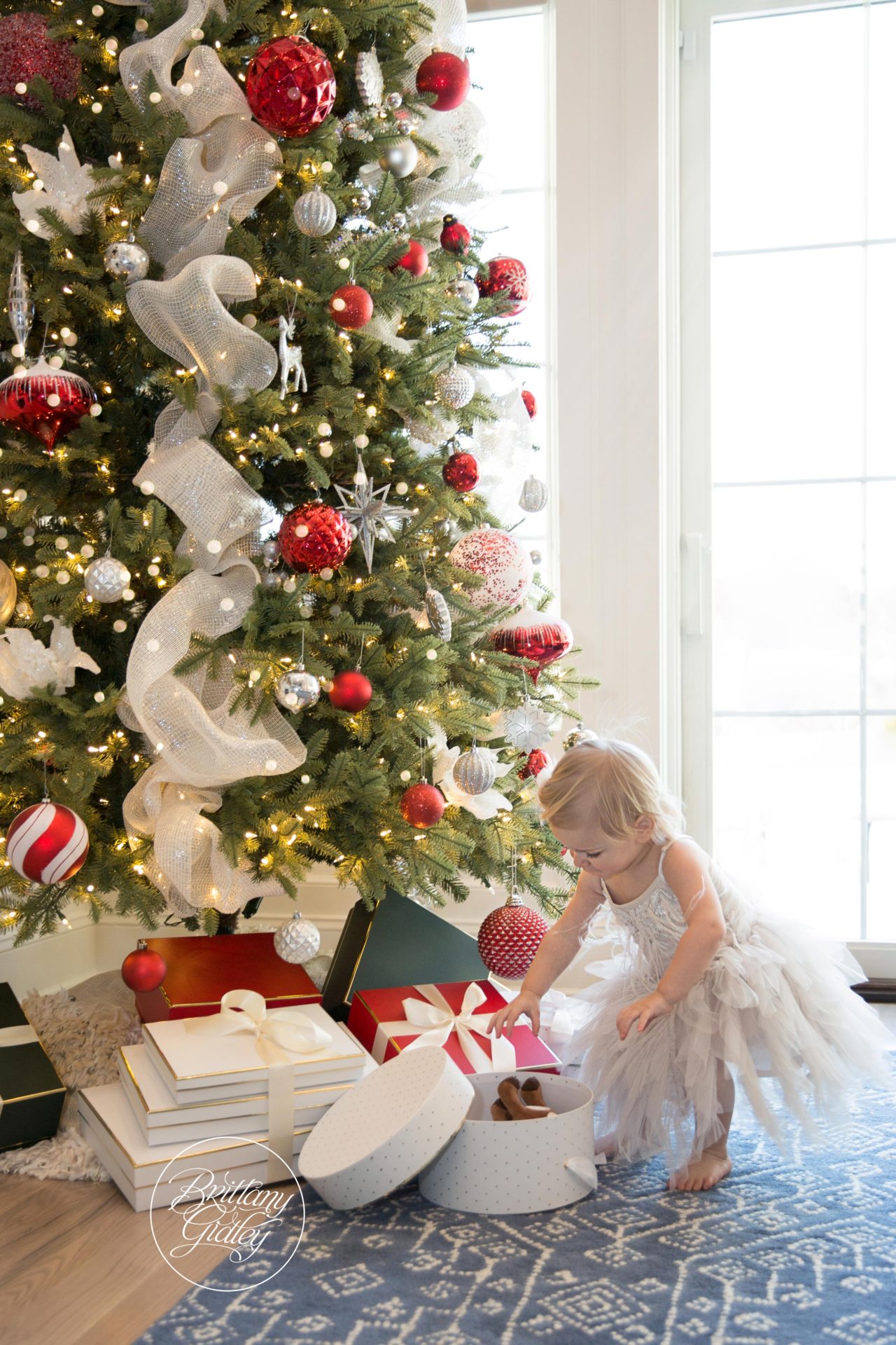 Christmas Cookies Dream Session | Paramus New Jersey Family Photographer