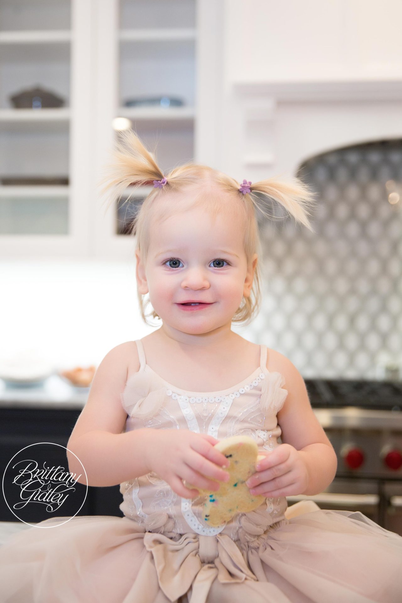 Christmas Cookie Baby Photo Shoot