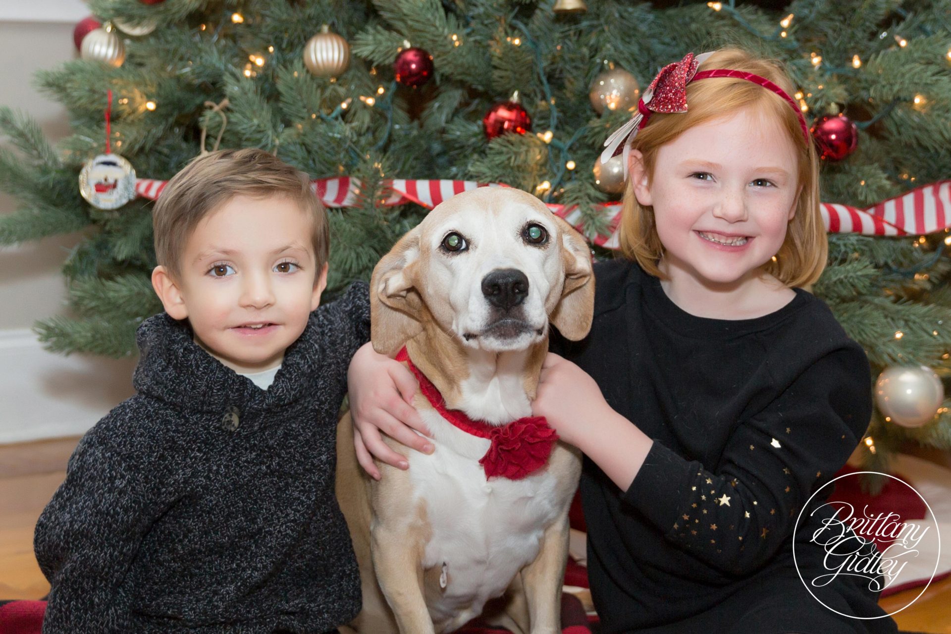 Family Christmas Photography in New York | Traveling Photographer