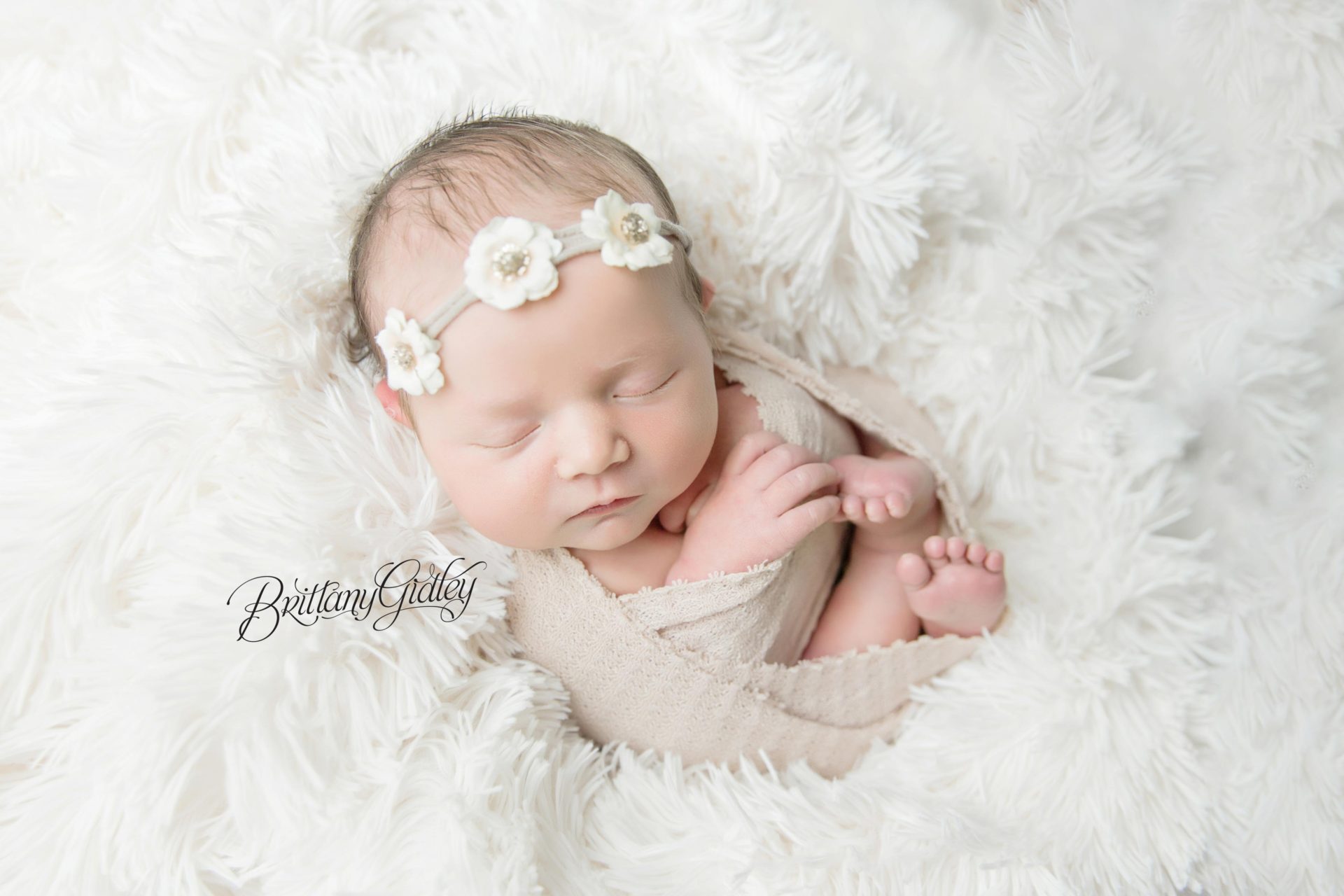 Ohio Newborn Photographer | Introducing Cece