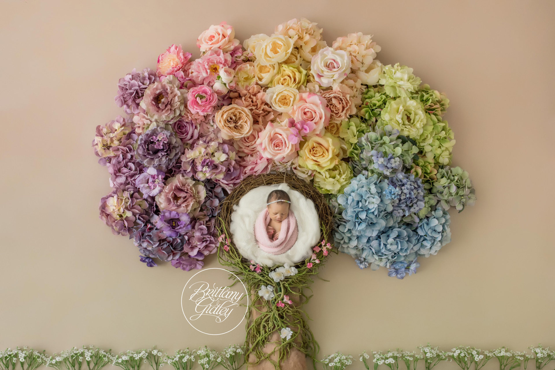 Rainbow Baby Dream Session | Introducing Maya | Newborn Rainbow Baby Photo Shoot
