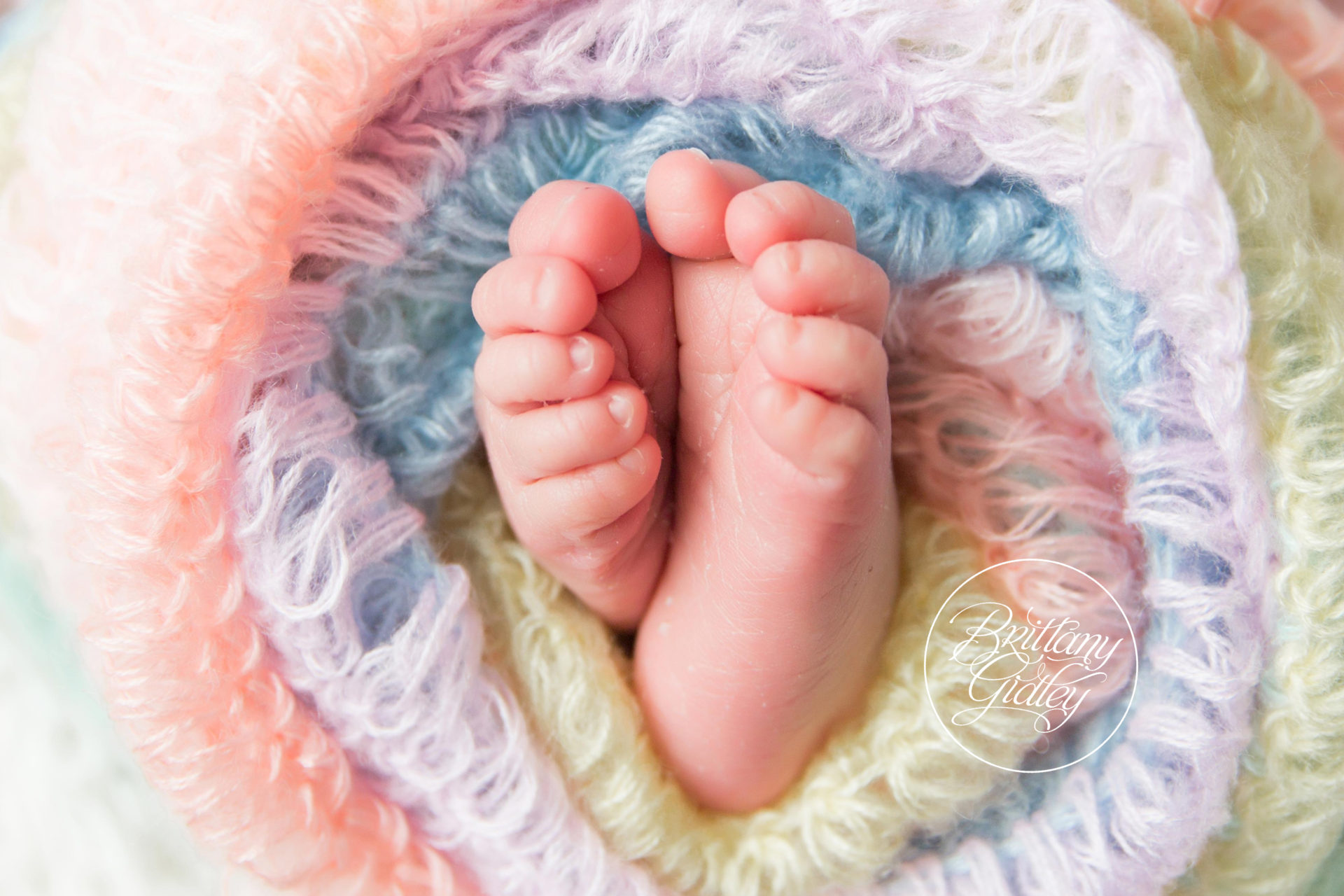 Pepper Pike Newborn Photography