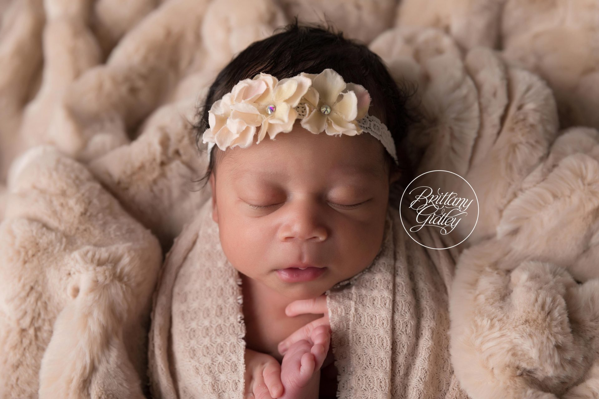 Best Newborn Photographer in Los Angeles | Newborn Baby Photography LA