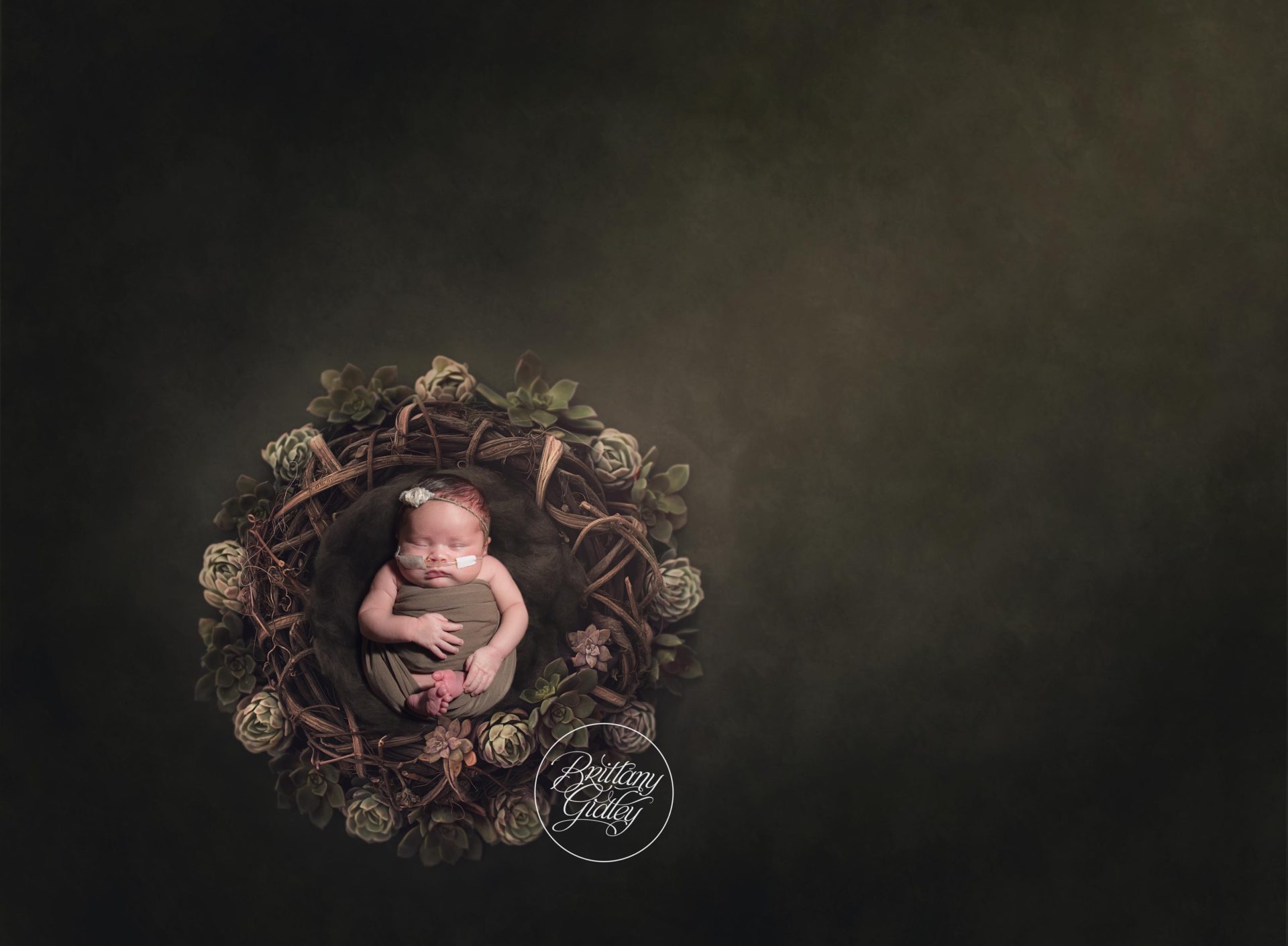 Children's Hospital Photos | Brittany Gidley Photography | NICU Photography | NICU Photo Shoot