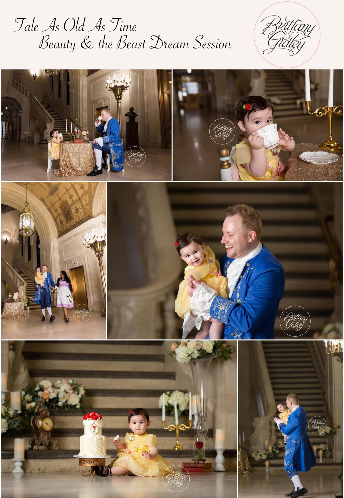 Beauty and The Beast Photo Shoot | Beauty and the Beast Themed Party | Beauty and the Beast Cake Smash