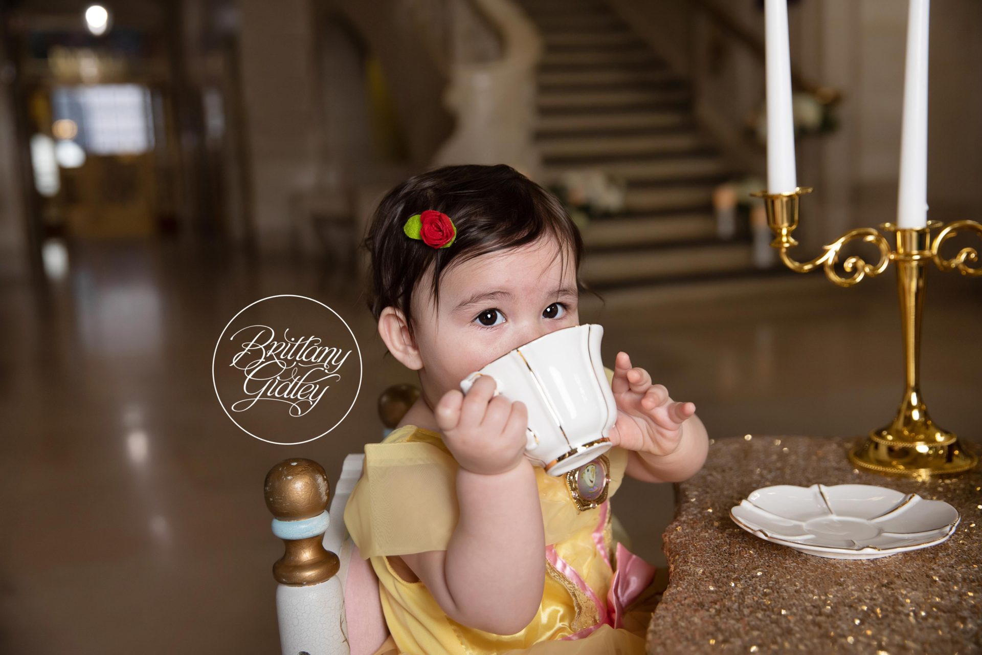 Beauty And The Beast Baby Photo Shoot | Beauty And The Beast Theme Party