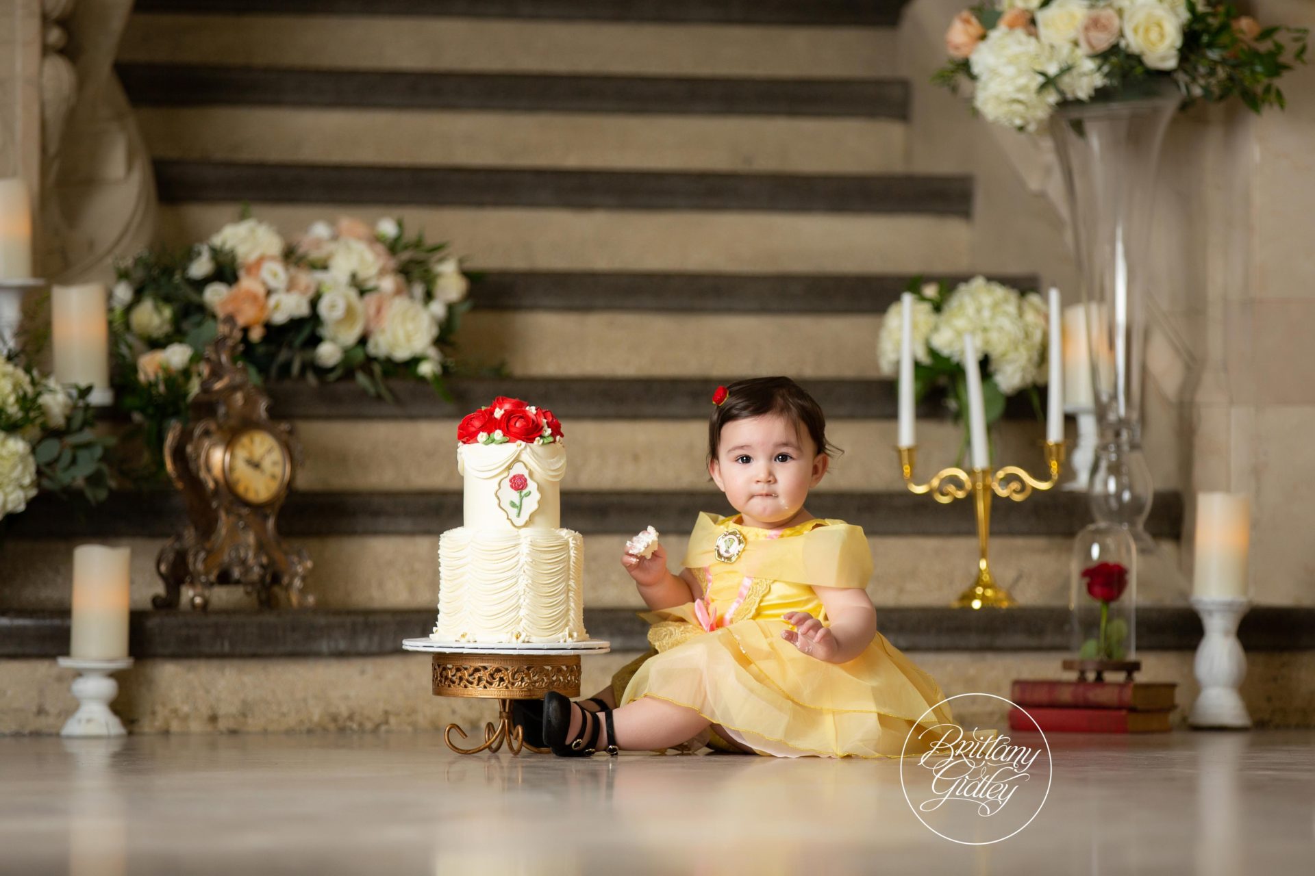 Beauty And The Beast Baby Photo Shoot | Beauty And The Beast Theme Party