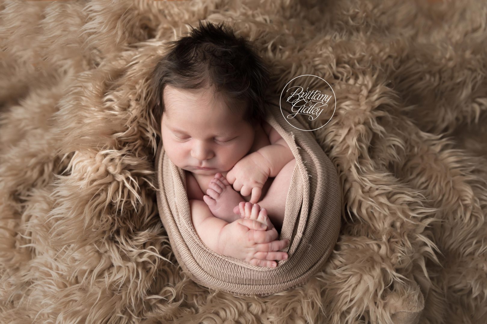 Cleveland's Best Newborn Photographer | Introducing Noah