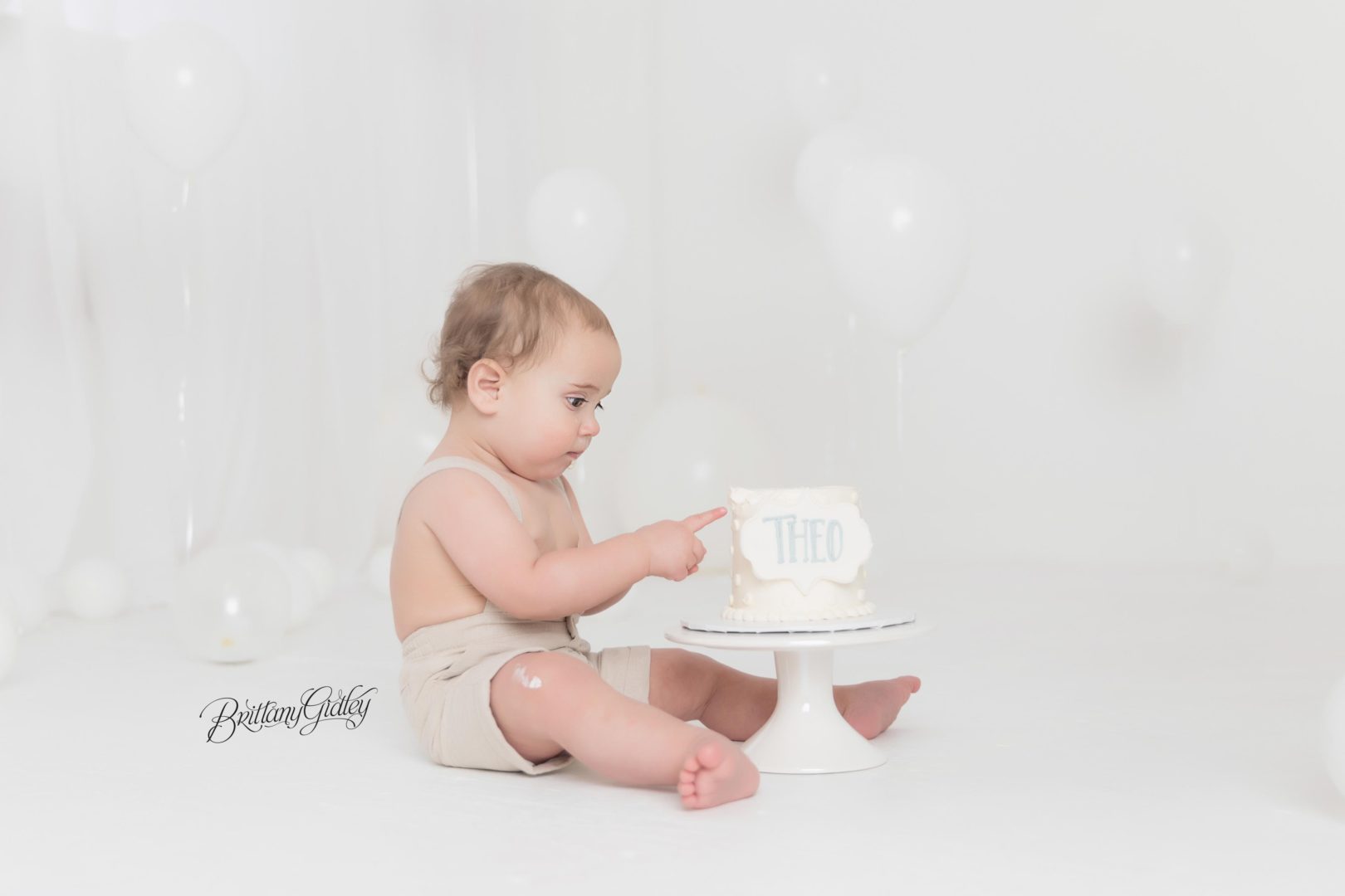 We Adore Theodore Cake Smash Dream Session