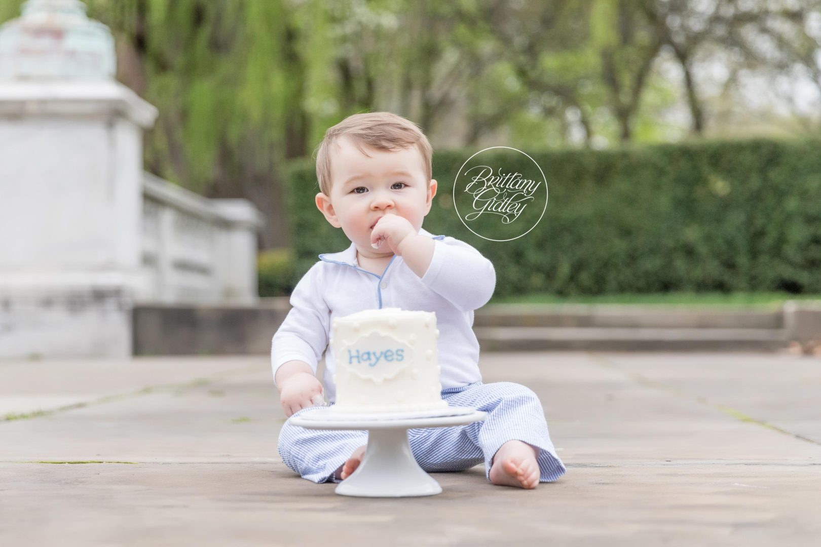 Cleveland Museum of Art Cake Smash | The Mitchell Family