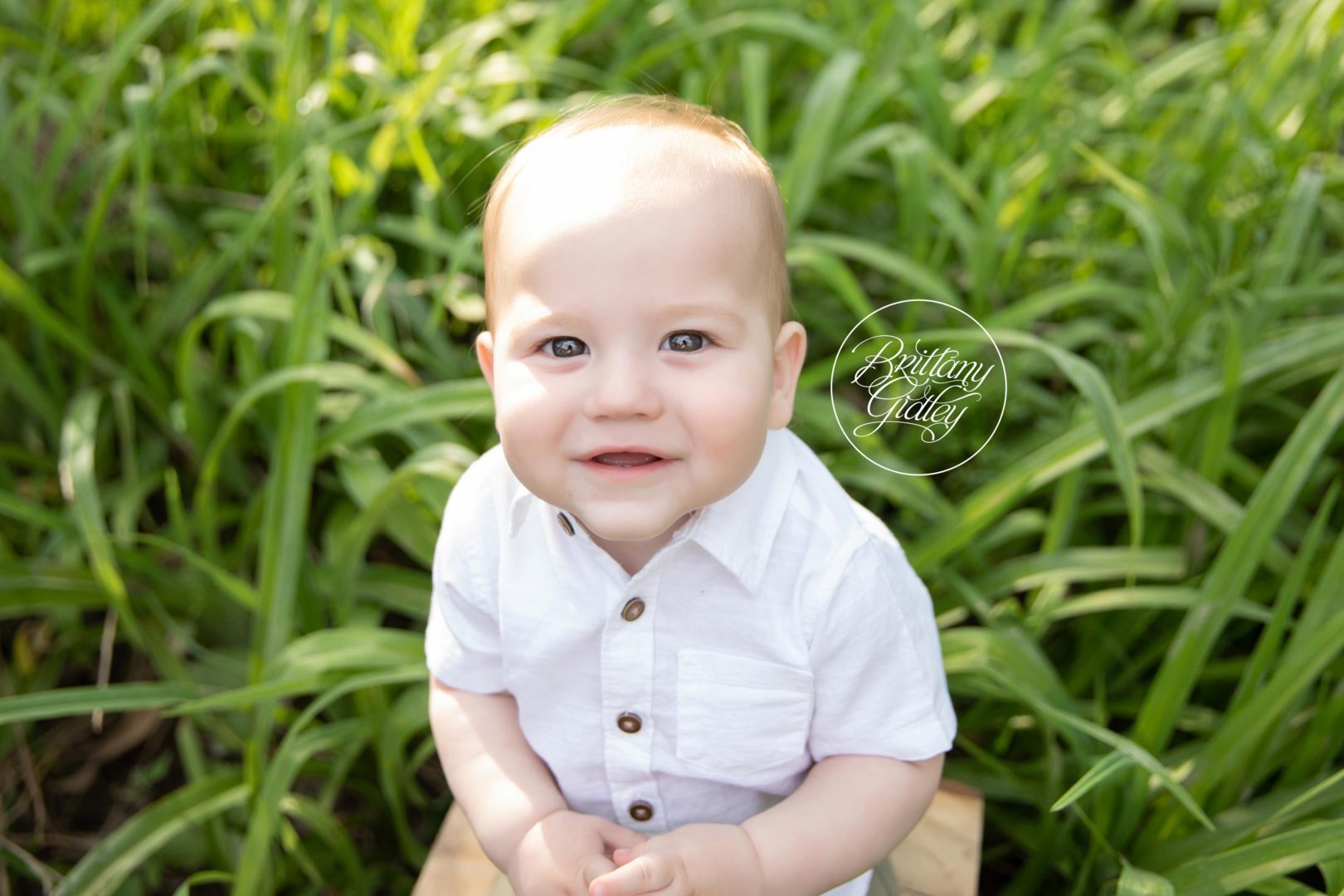 Let's Get Wild Dream Session | Niko 12 Months