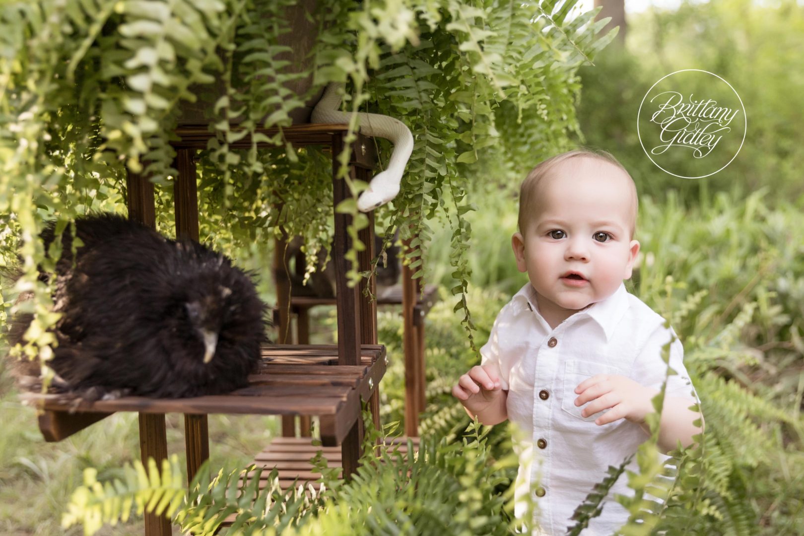 Wild One Photo Shoot Dream Session Inspiration