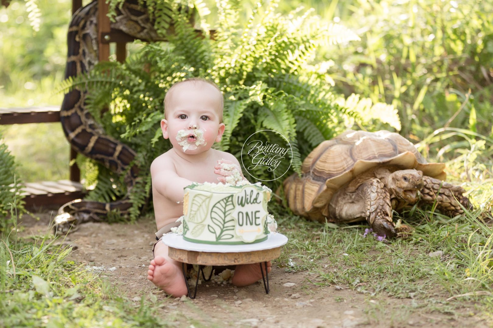 Wild One Photo Shoot Dream Session Inspiration