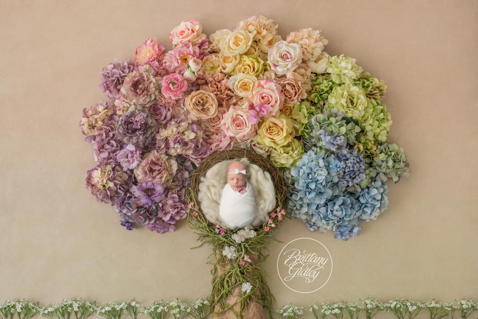 Rainbow Baby Photography | Photo Shoot Rainbow Baby