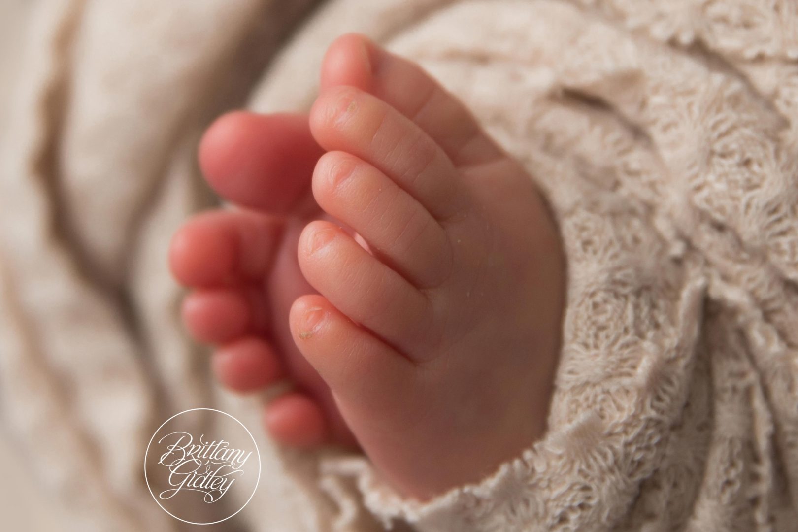 Best Newborn Photography Cleveland | Introducing Adelaide