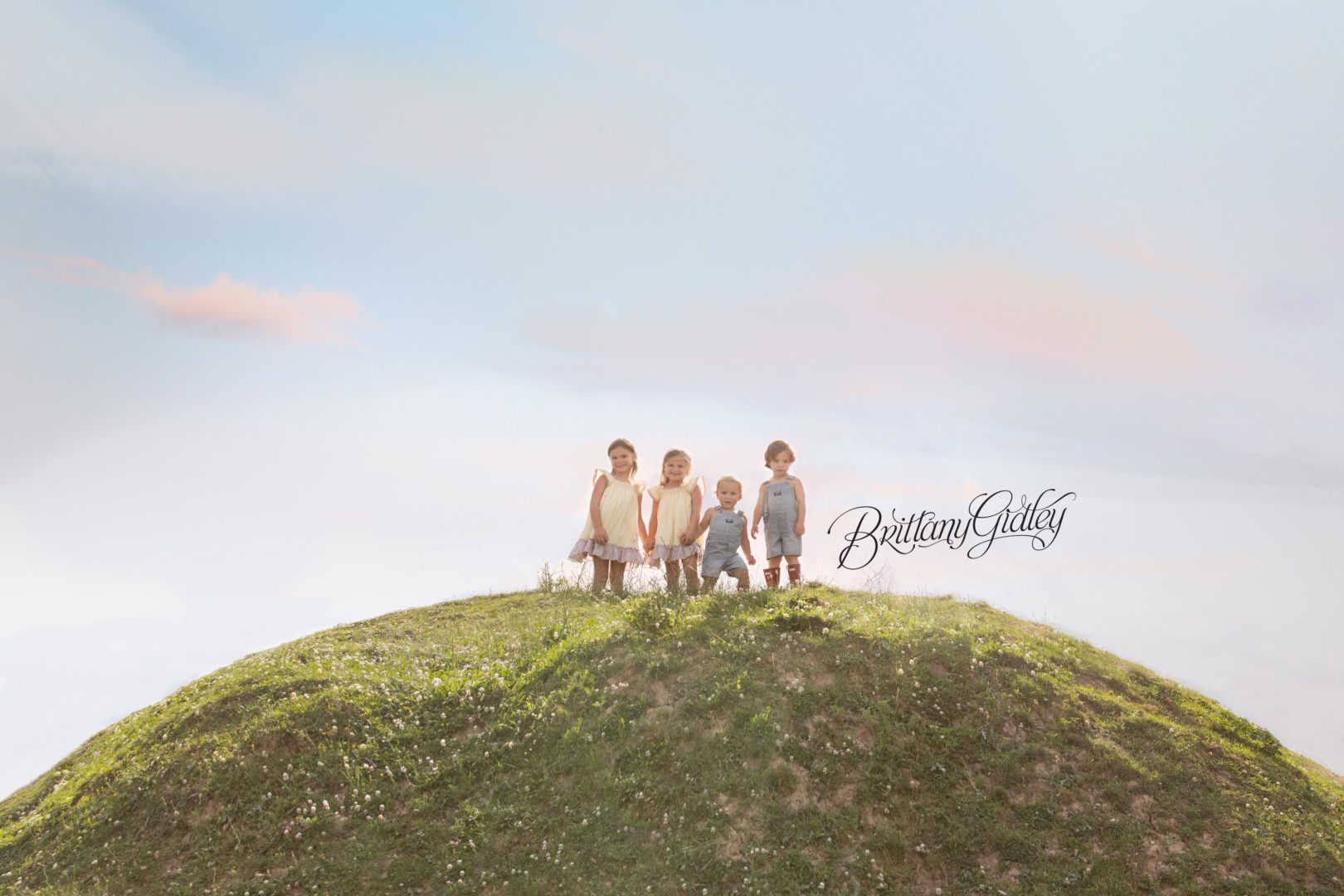 Down On The Farm Dream Session | The Scheel Family