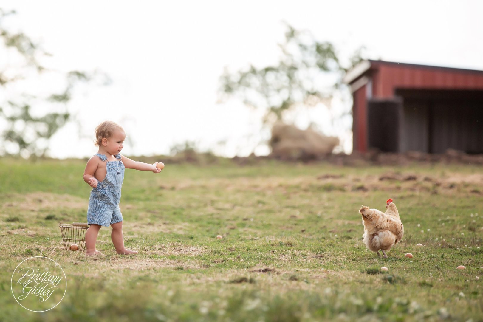 Down On The Farm Dream Session | Babies With Chickens Photo Shoot
