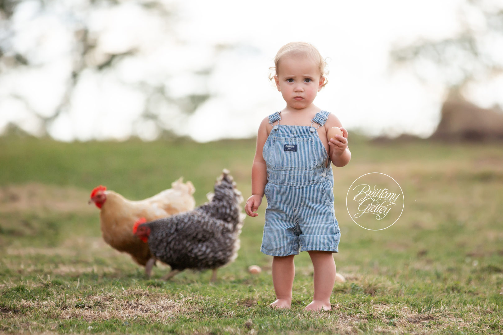 Down On The Farm Dream Session | Babies With Chickens Photo Shoot