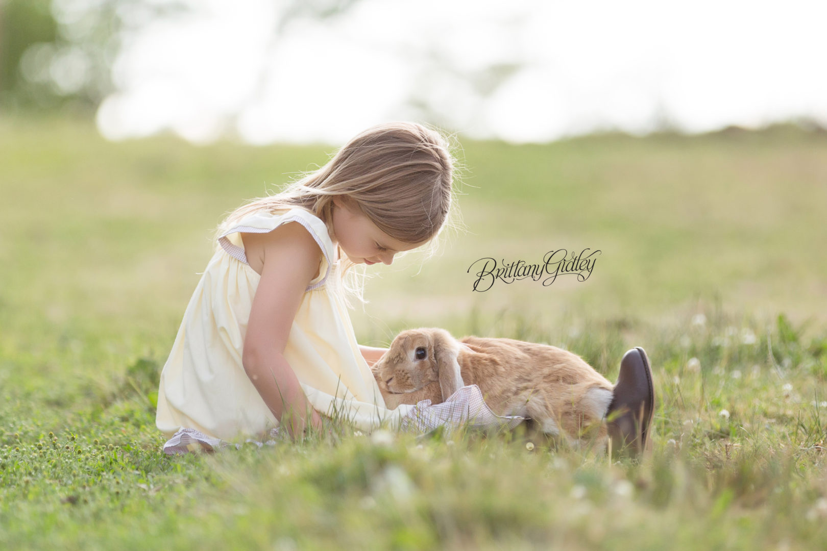 Bunny Photo Shoot | Easter Mini Session Inspiration | Farm Bunny