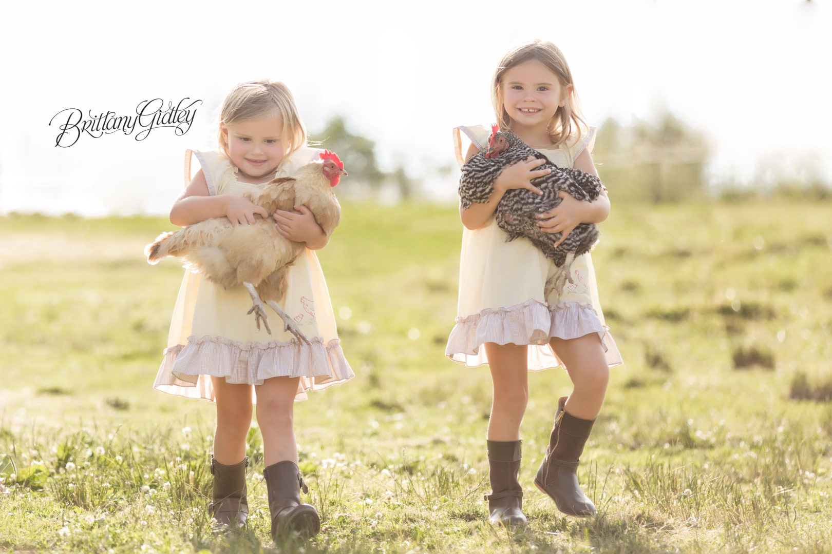 Baby Animal Child Photo Shoot | Pictures of Chickens With Children | Farm Theme