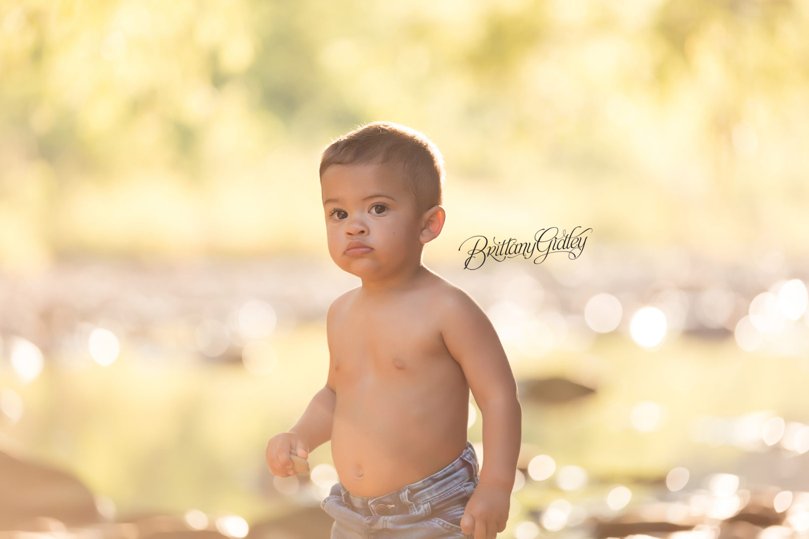 Cleveland's Best Maternity Photographer | The Mostert Family | Brecksville Reservation