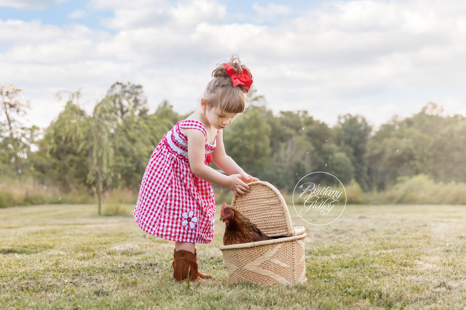 Chicken Photo Shoot | Barnyard Fun Dream Session | The Parham Family