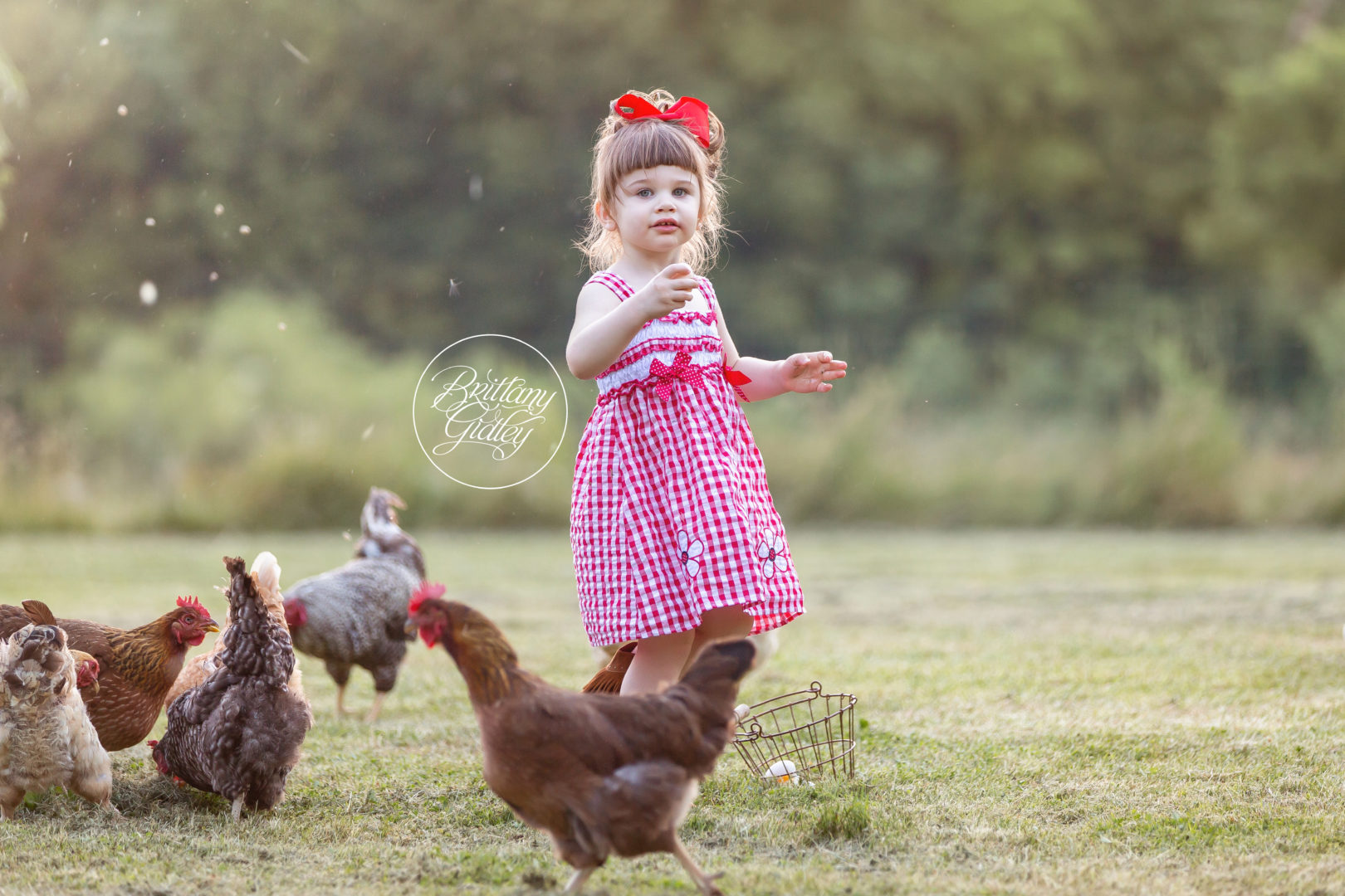 Chicken Photo Shoot | Barnyard Fun Dream Session | The Parham Family