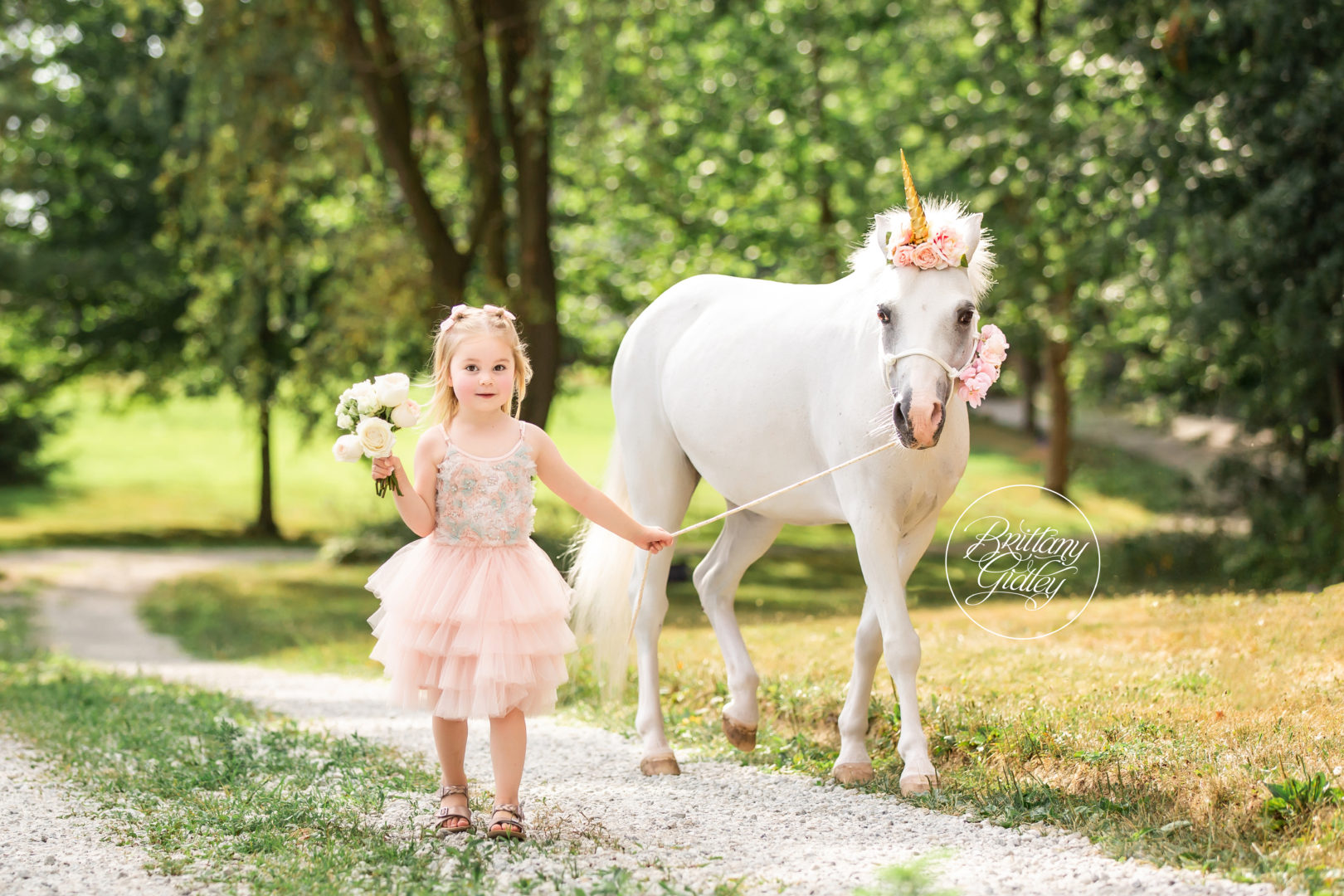 Believe In Magic Unicorn Dream Session | Unicorn Photographer