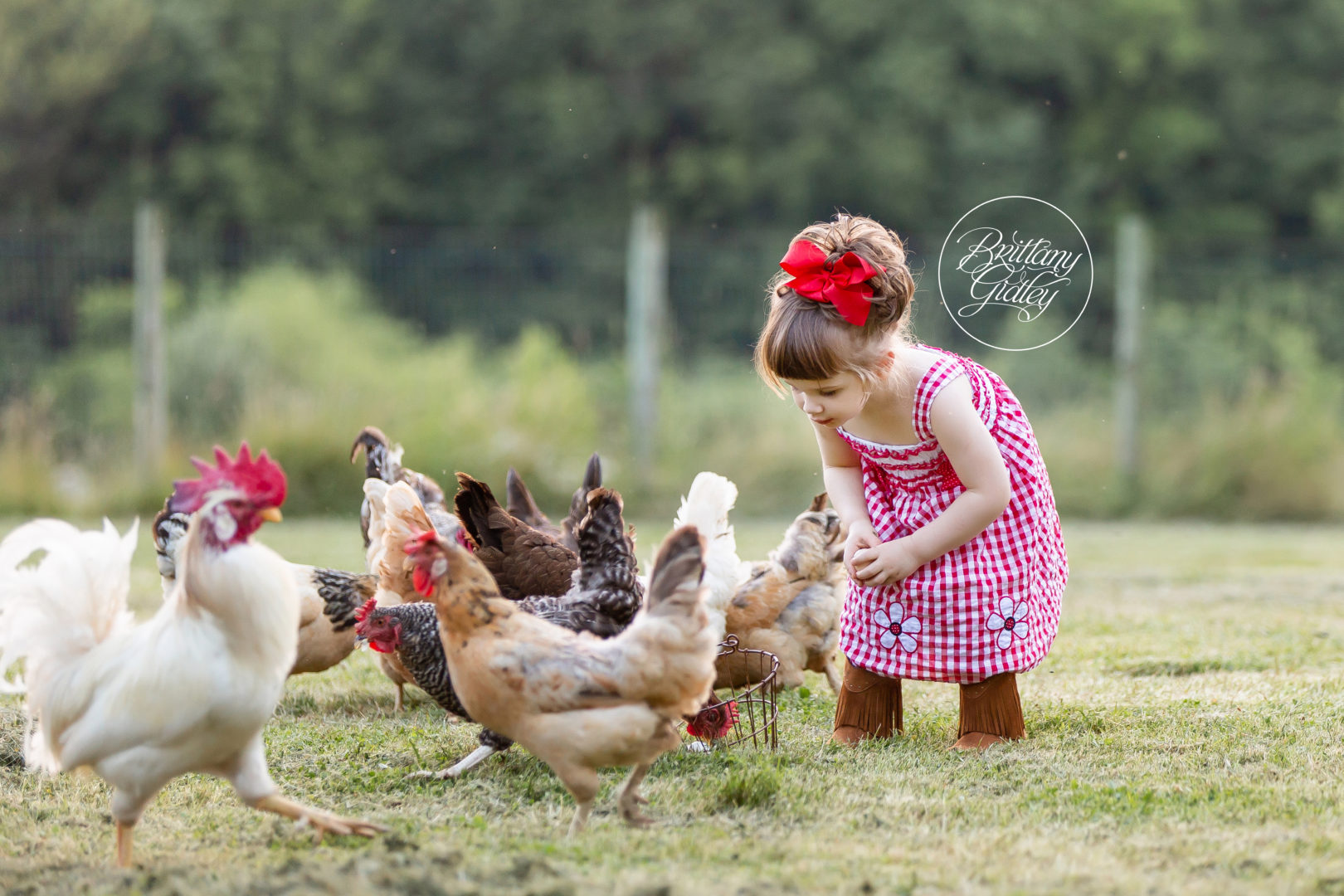 Chicken Photo Shoot With Kids | Photography Chicken Children