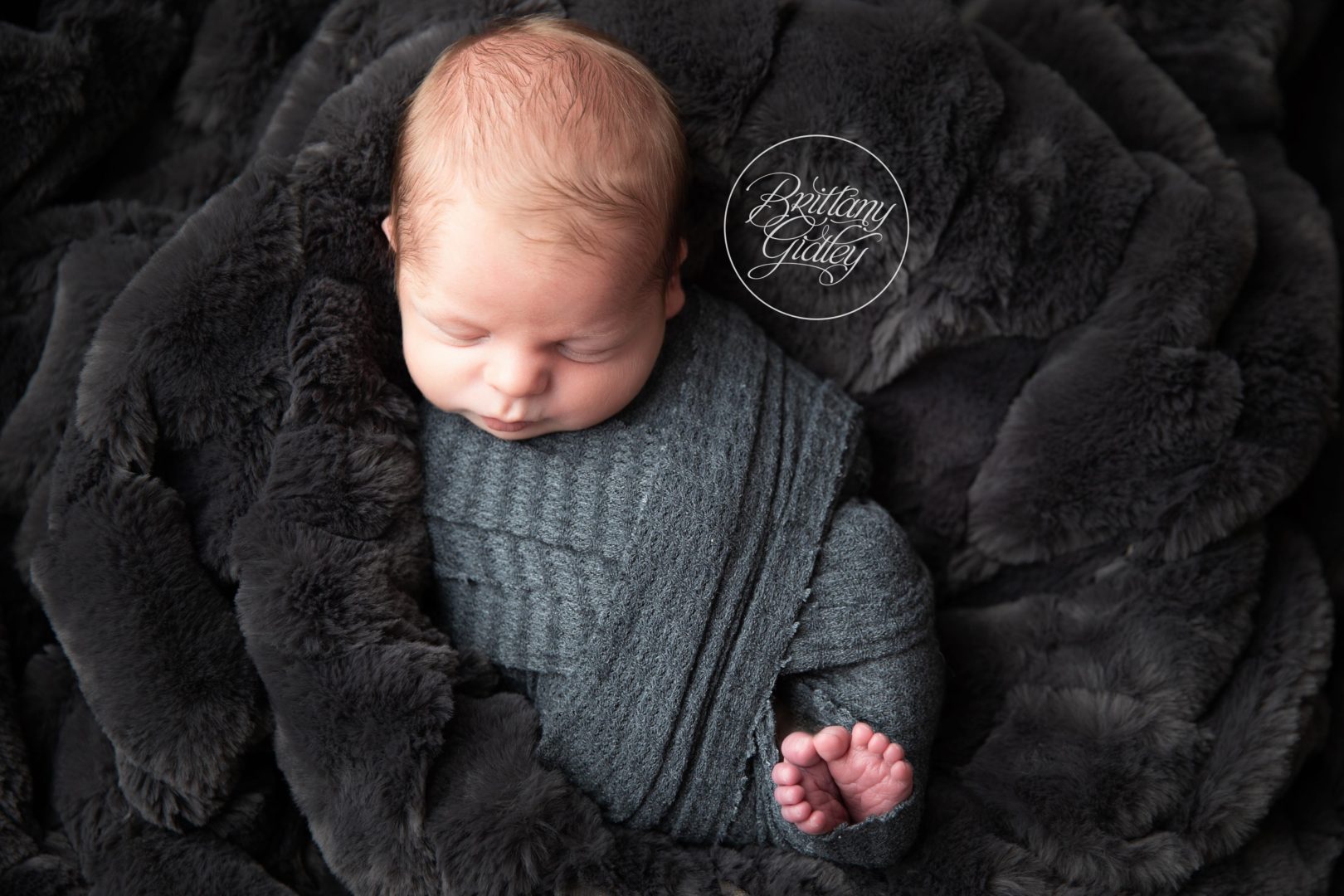 Cleveland Newborn Photographer | Brittany Gidley Photography