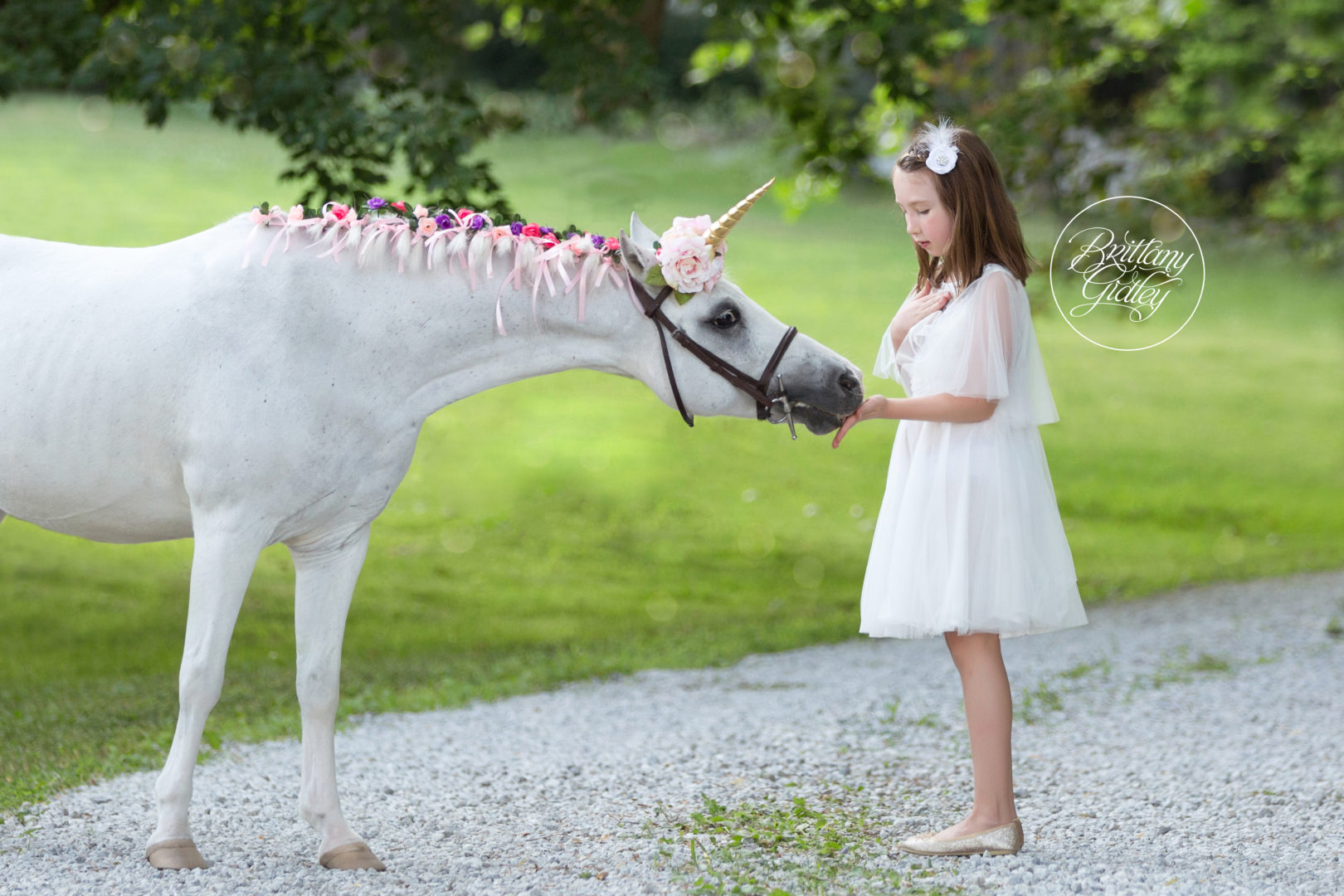 A Magical Day Unicorn Dream Session